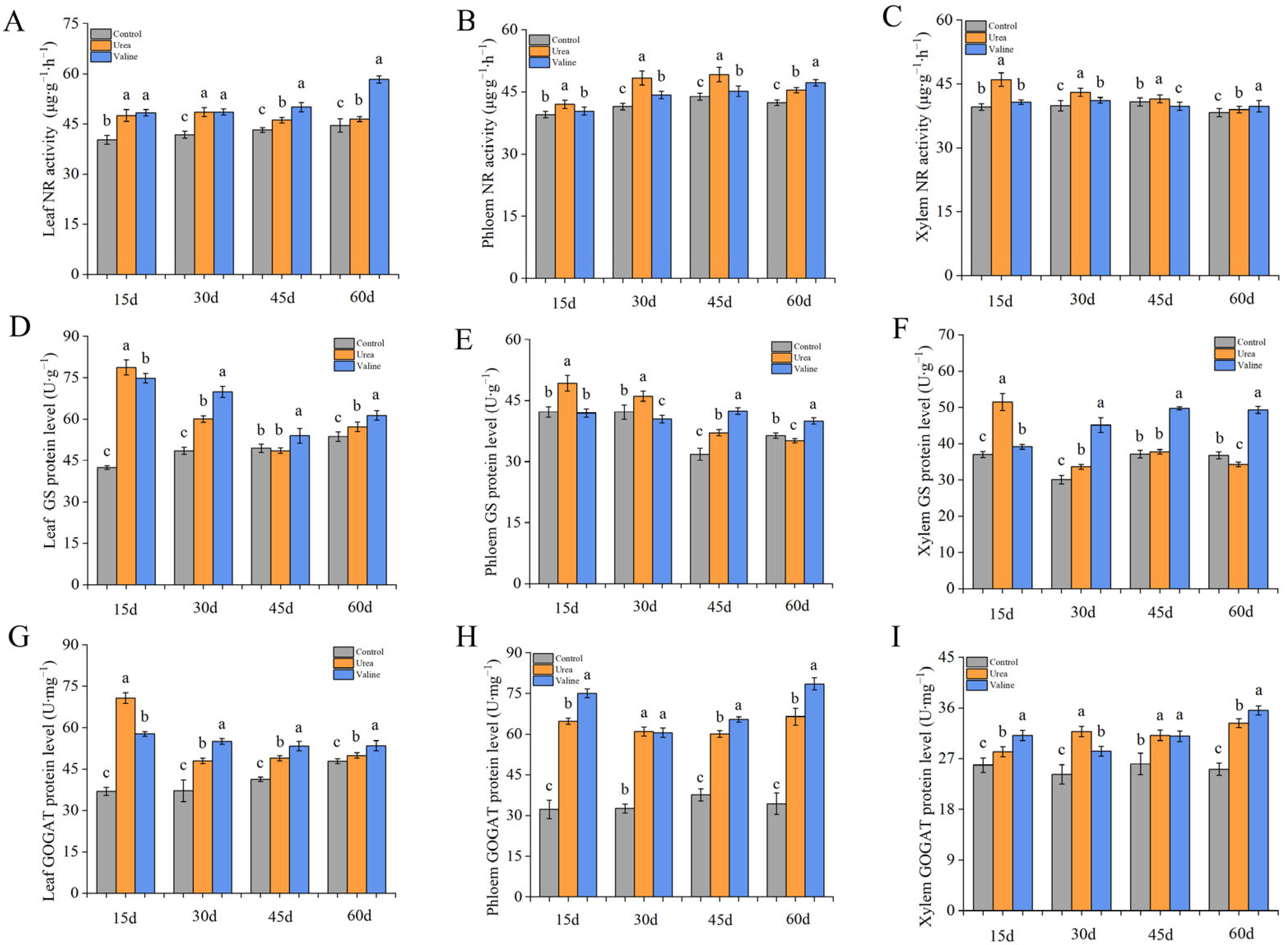 Plants 12 01596 g005 Plants 12 01596 g005