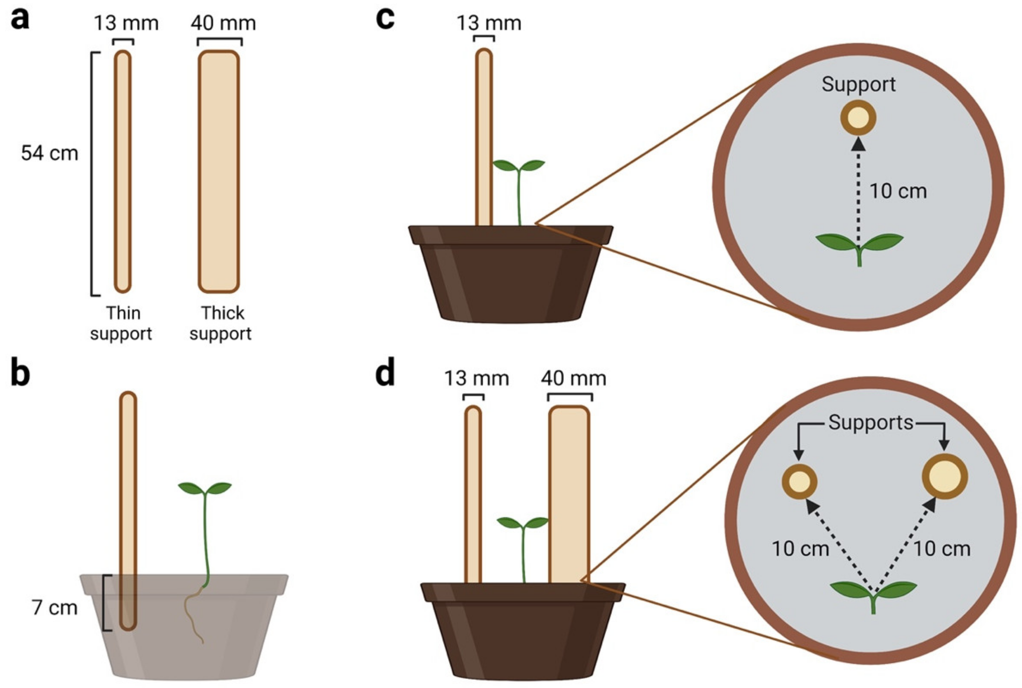 Plants 12 01597 g003