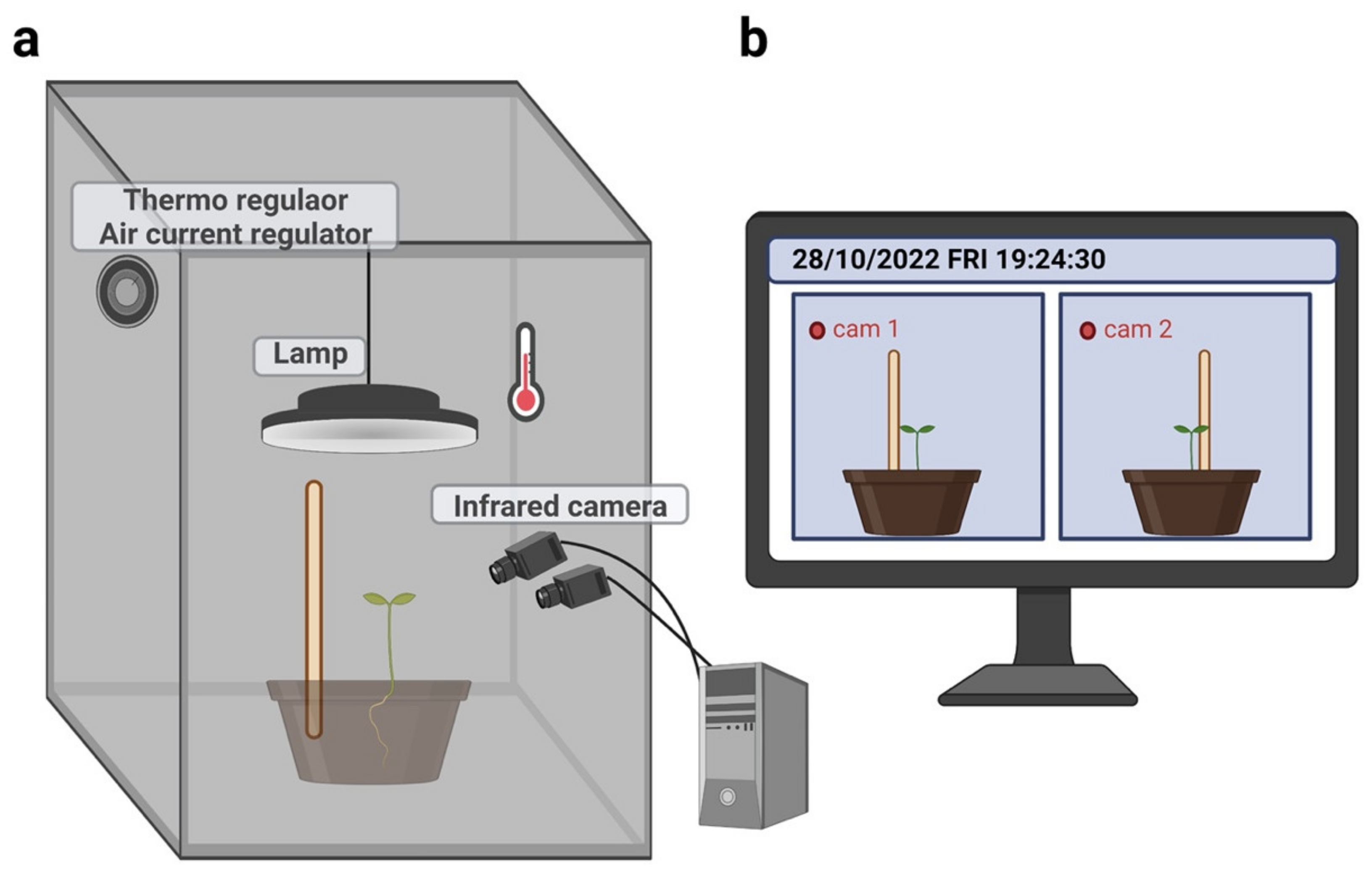 Plants 12 01597 g004