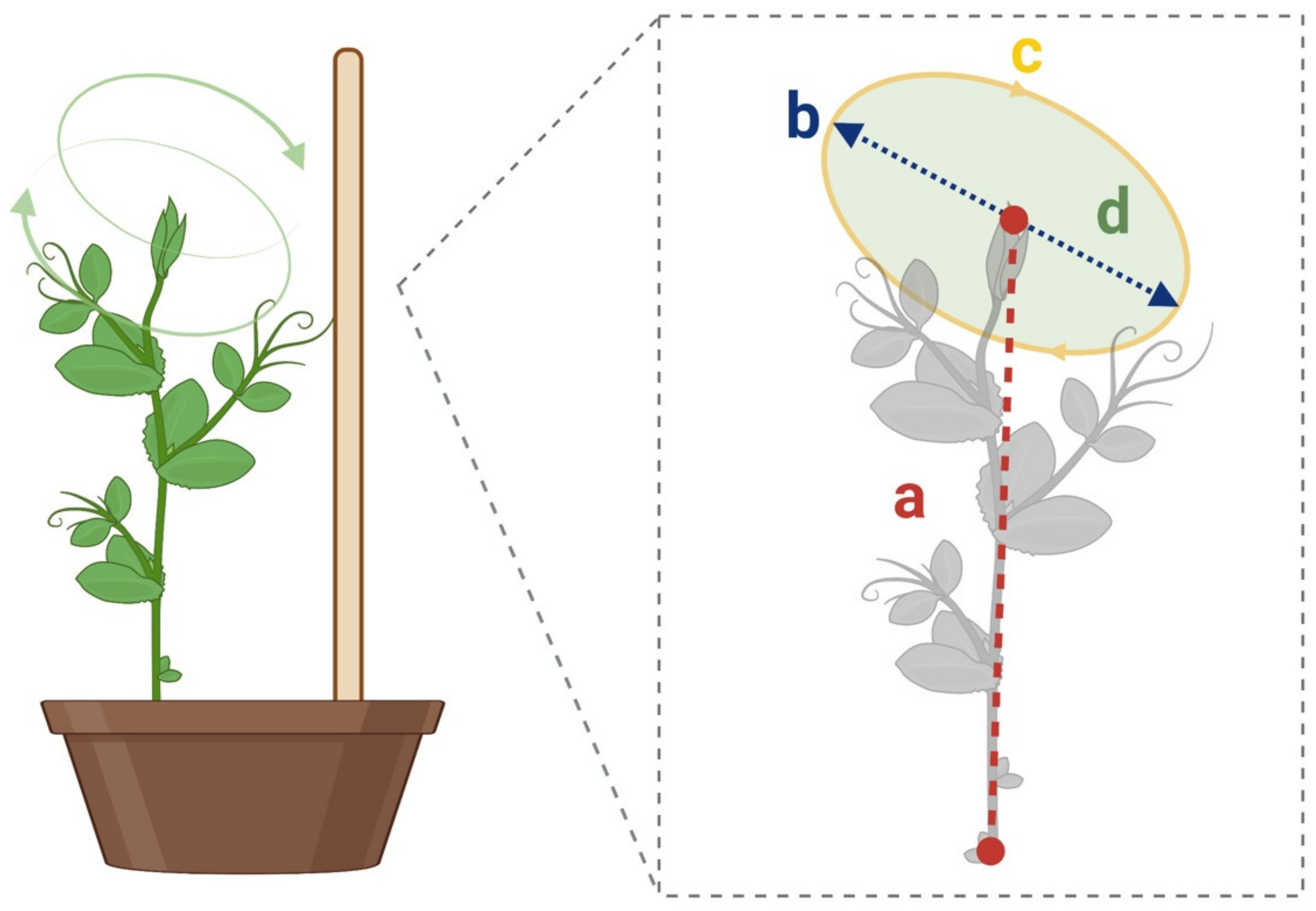 Plants 12 01597 g005