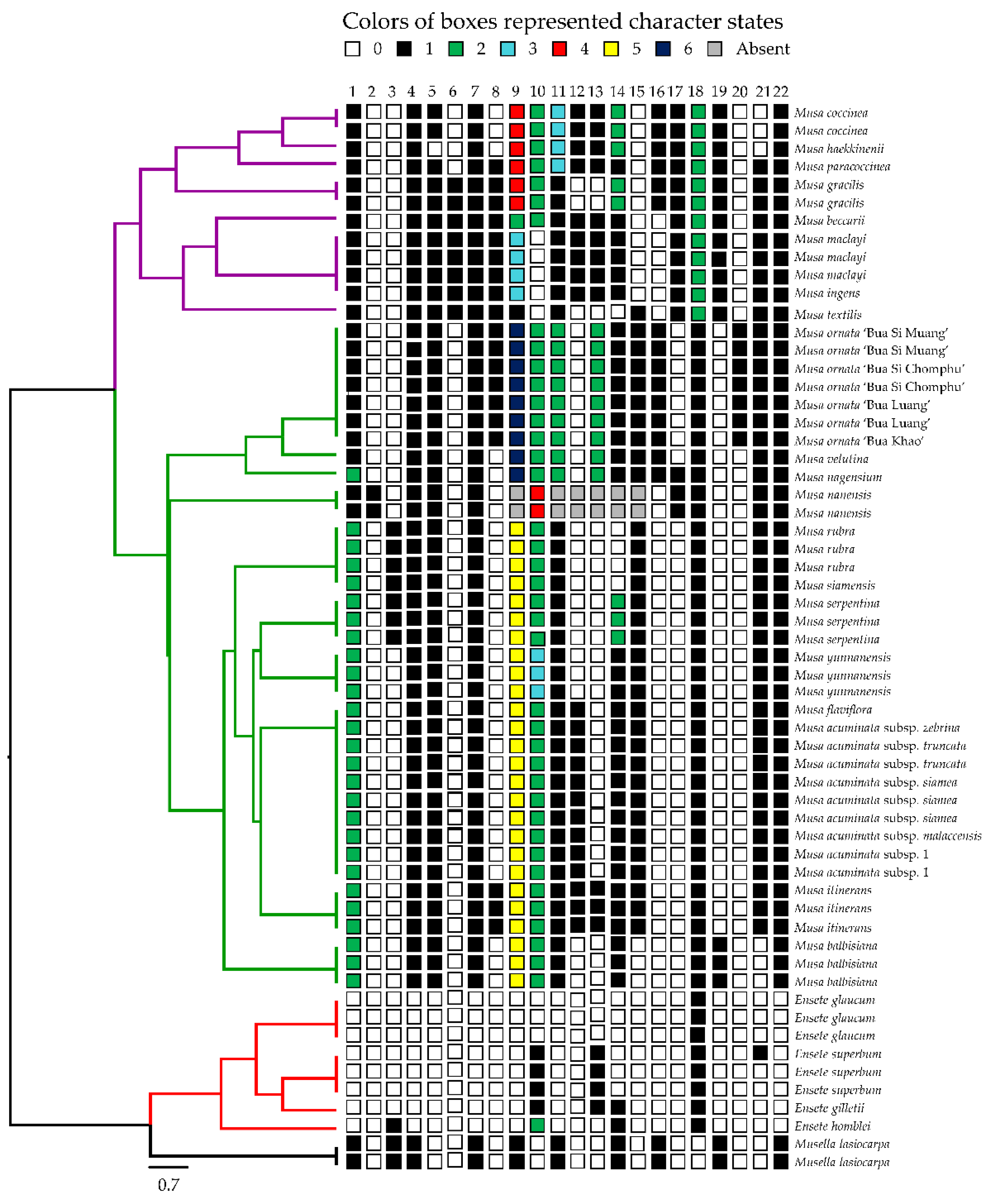 Plants 12 01602 g006 Plants 12 01602 g006