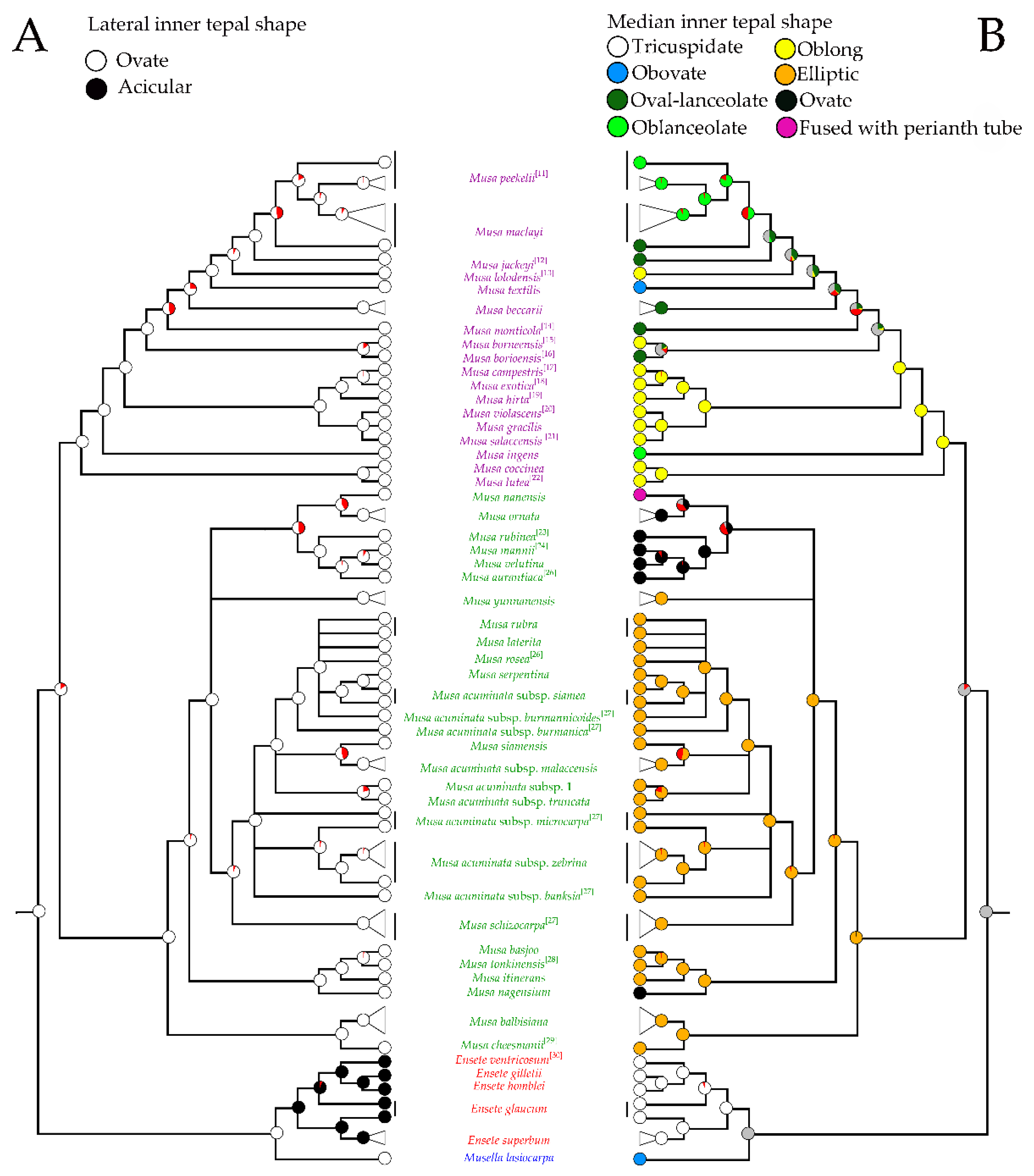 Plants 12 01602 g008 Plants 12 01602 g008