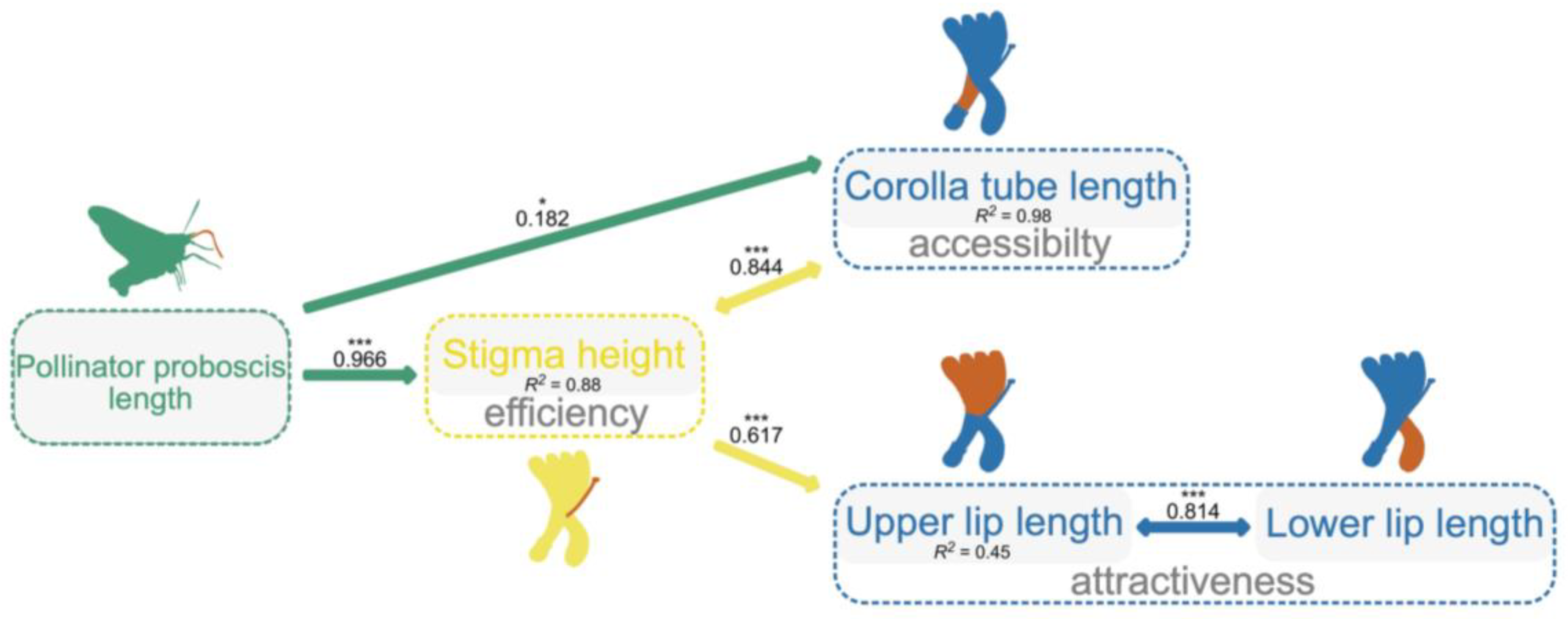 Plants 12 01629 g003