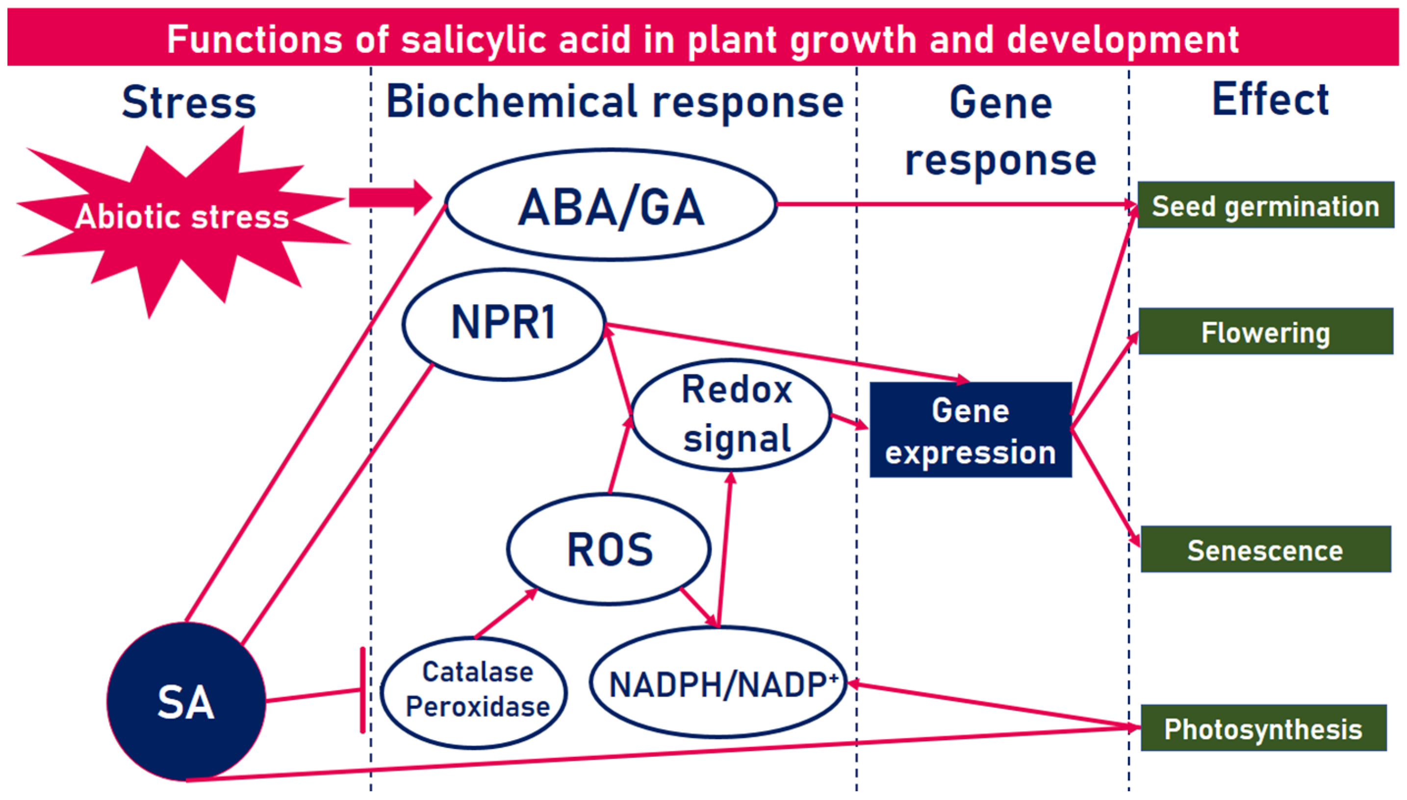 Plants 12 01637 g002