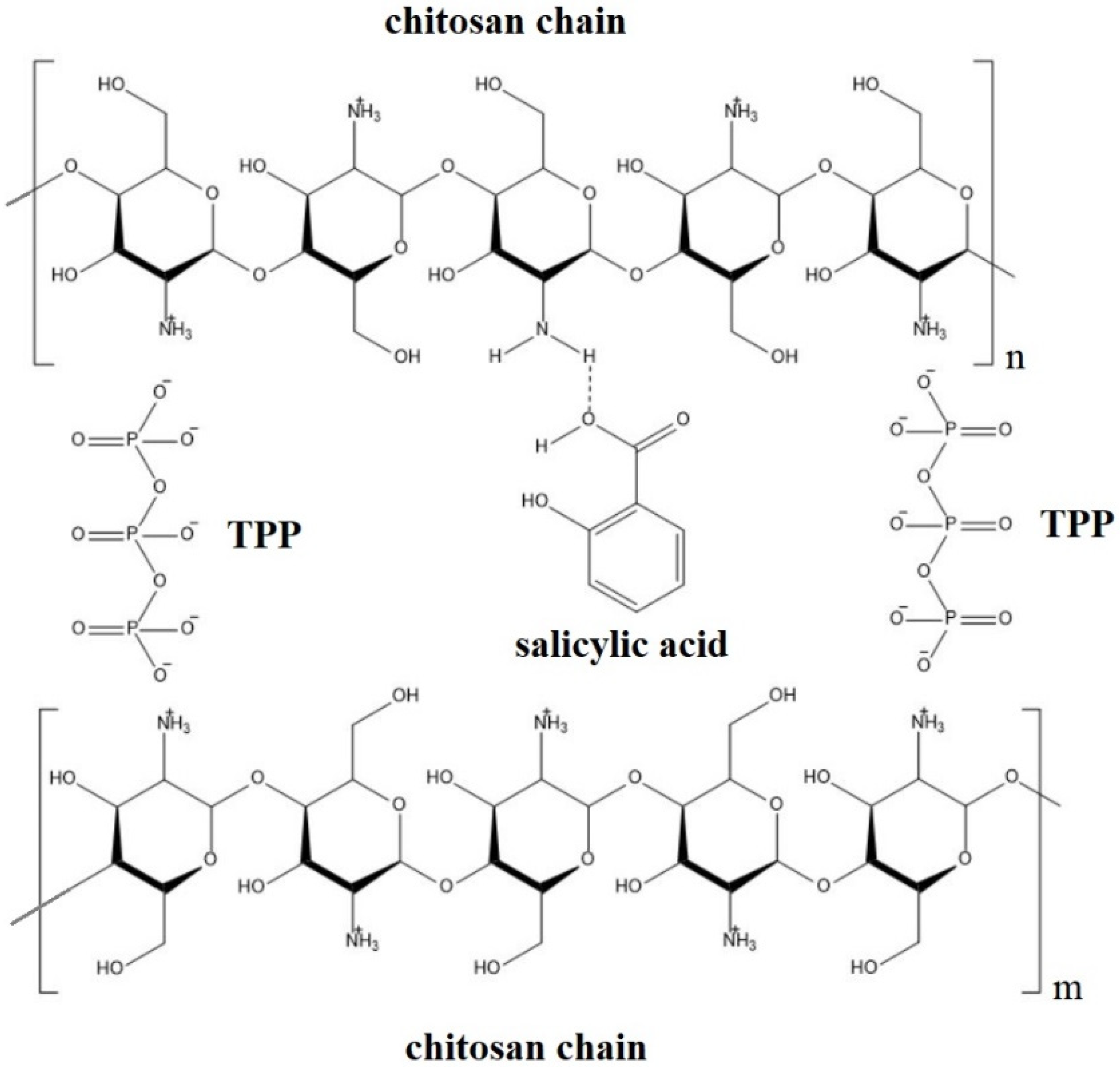 Plants 12 01637 g003