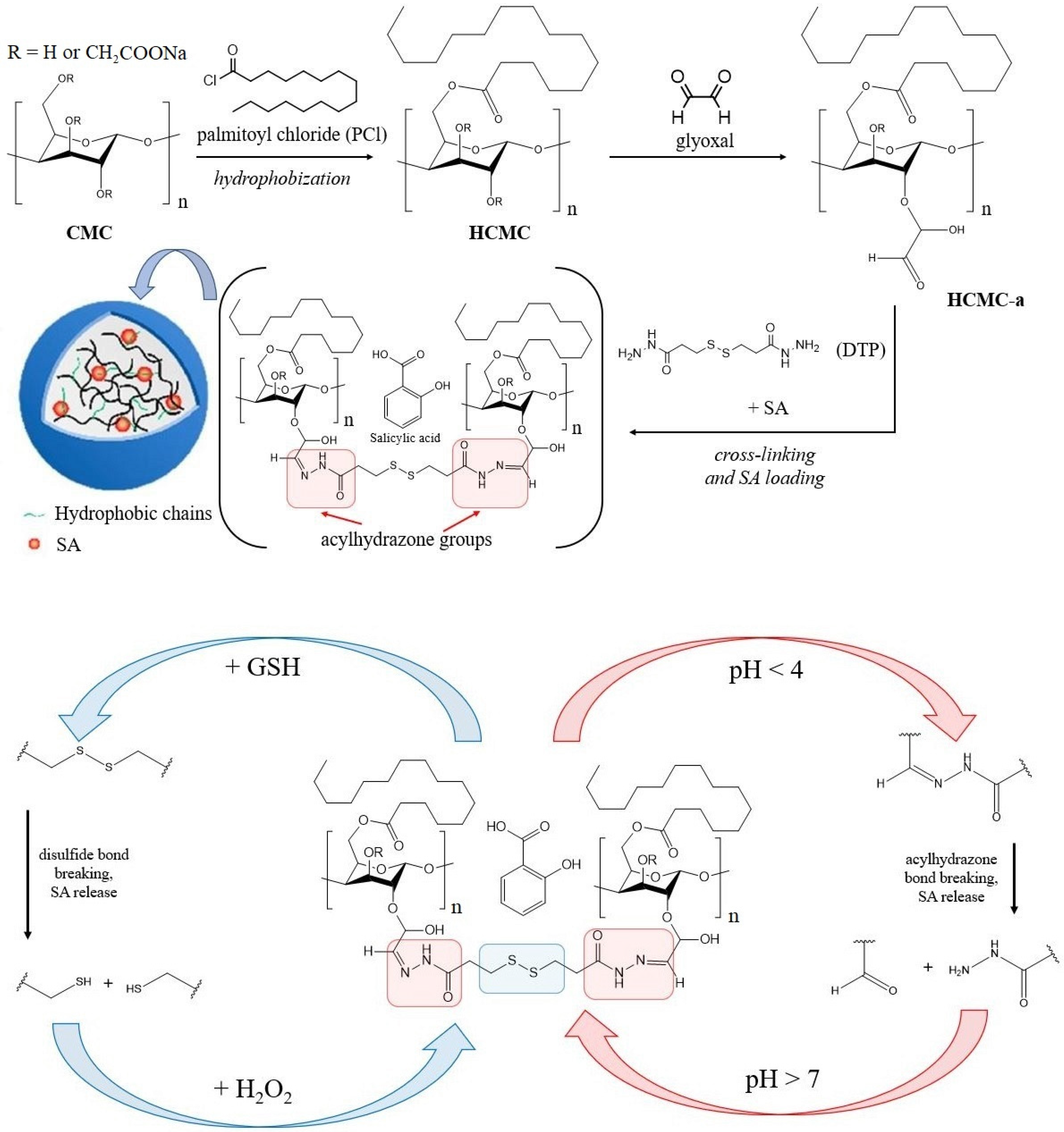 Plants 12 01637 g004