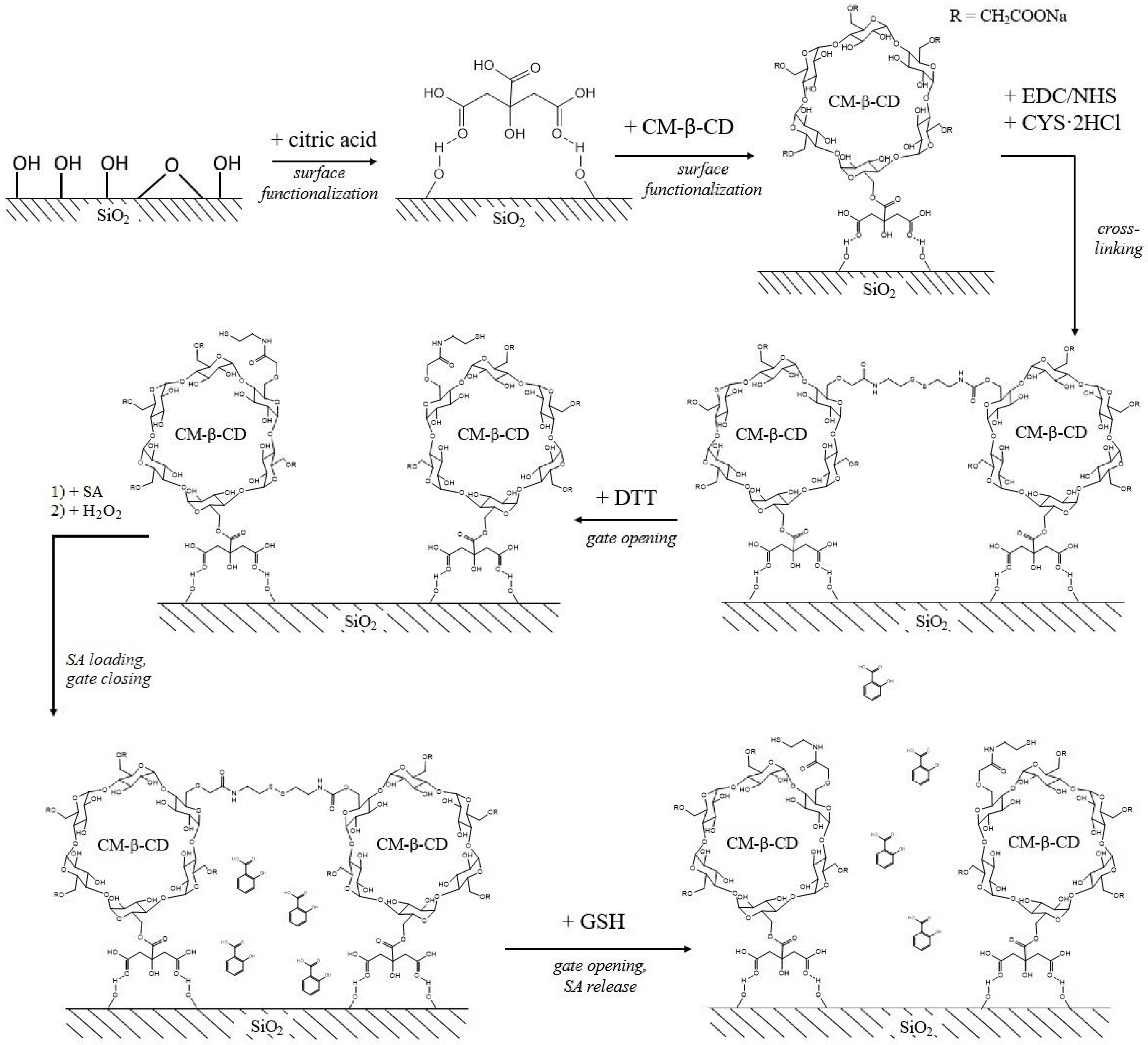 Plants 12 01637 g005