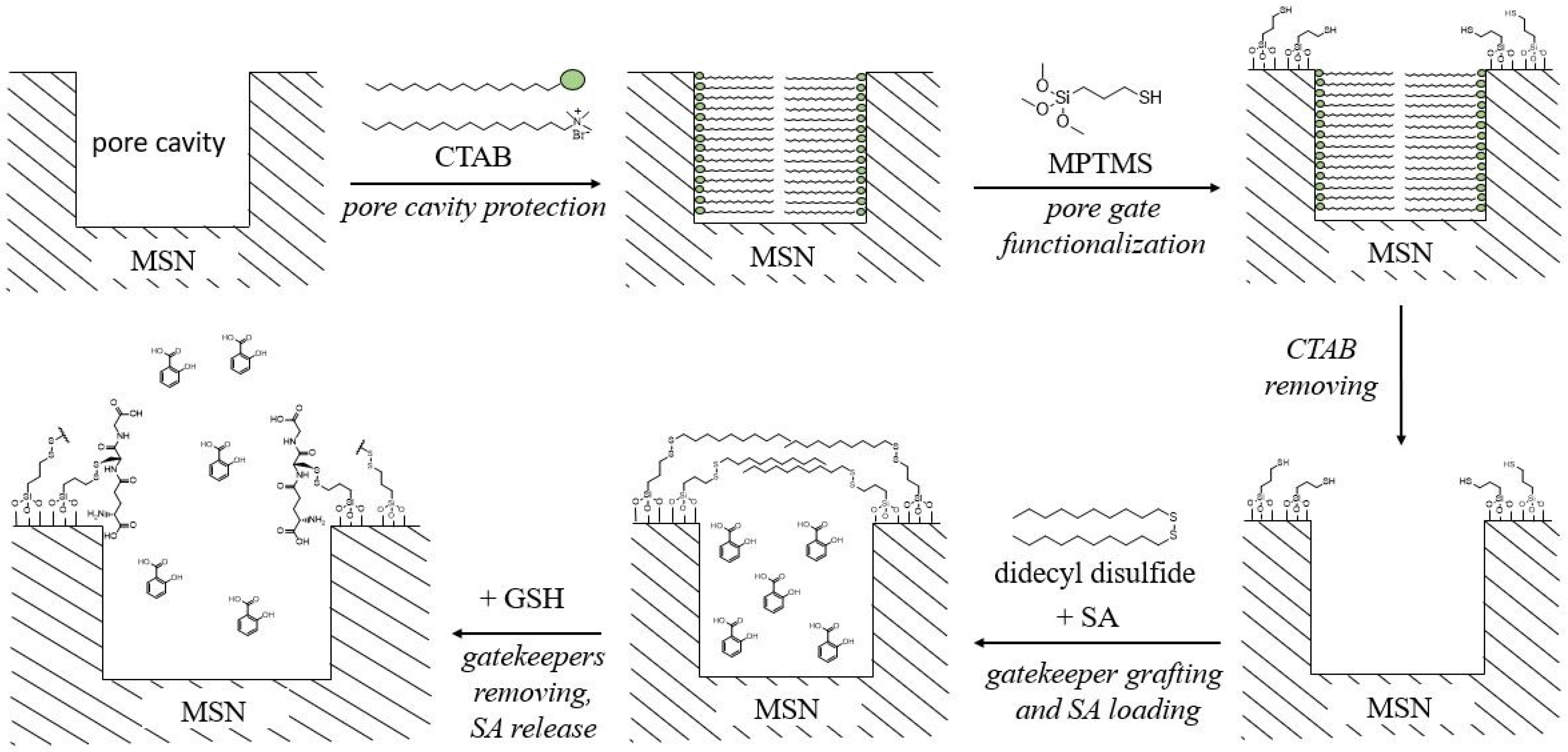 Plants 12 01637 g006