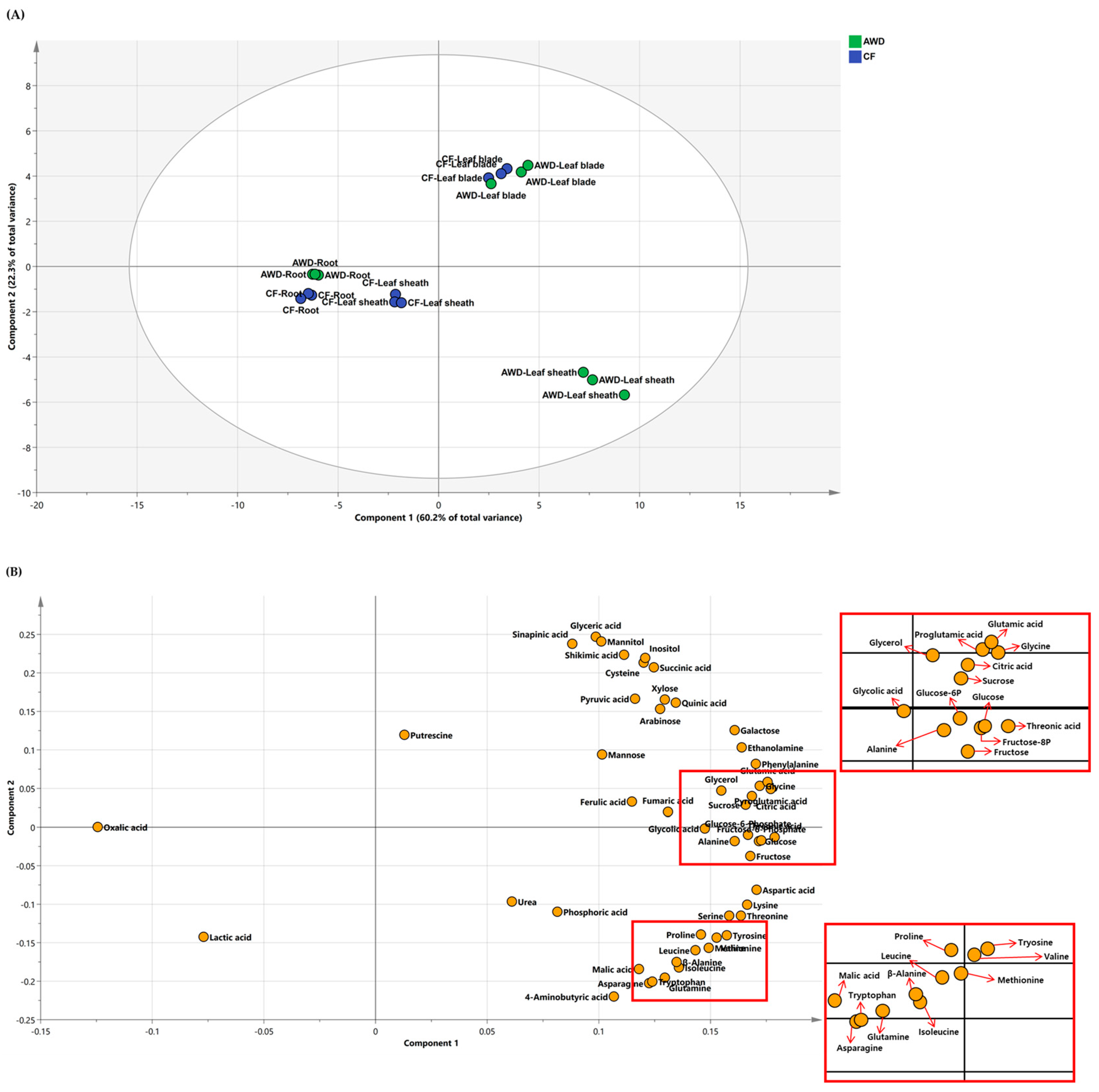 Plants 12 01649 g002 Plants 12 01649 g002