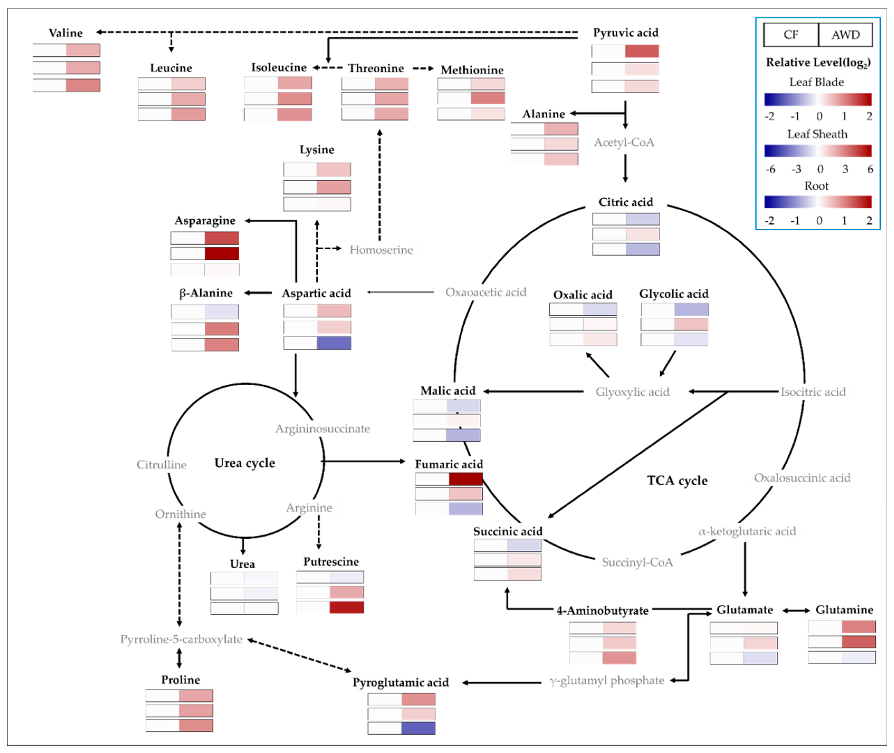 Plants 12 01649 g003b Plants 12 01649 g003b