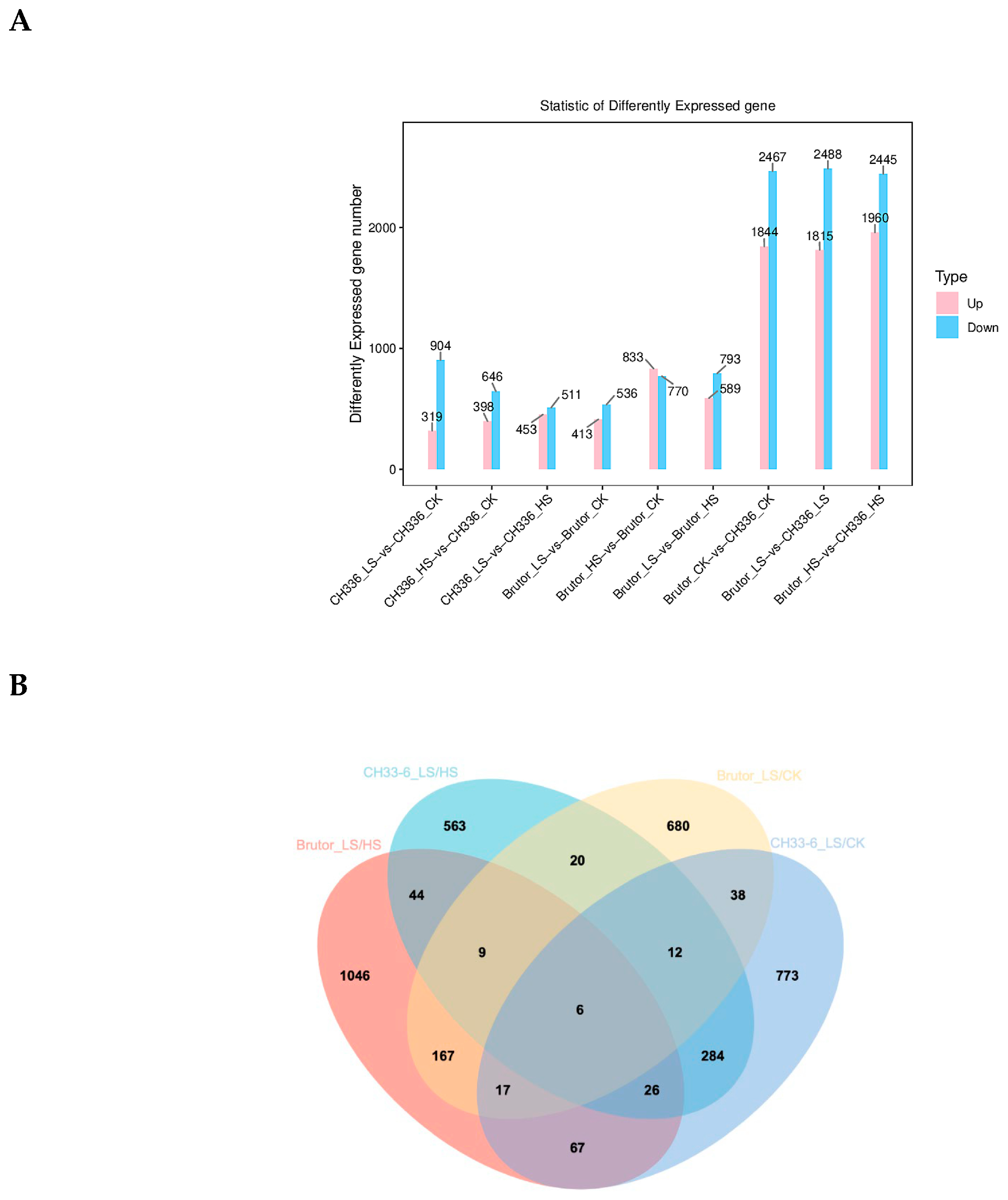 Plants 12 01650 g003 Plants 12 01650 g003