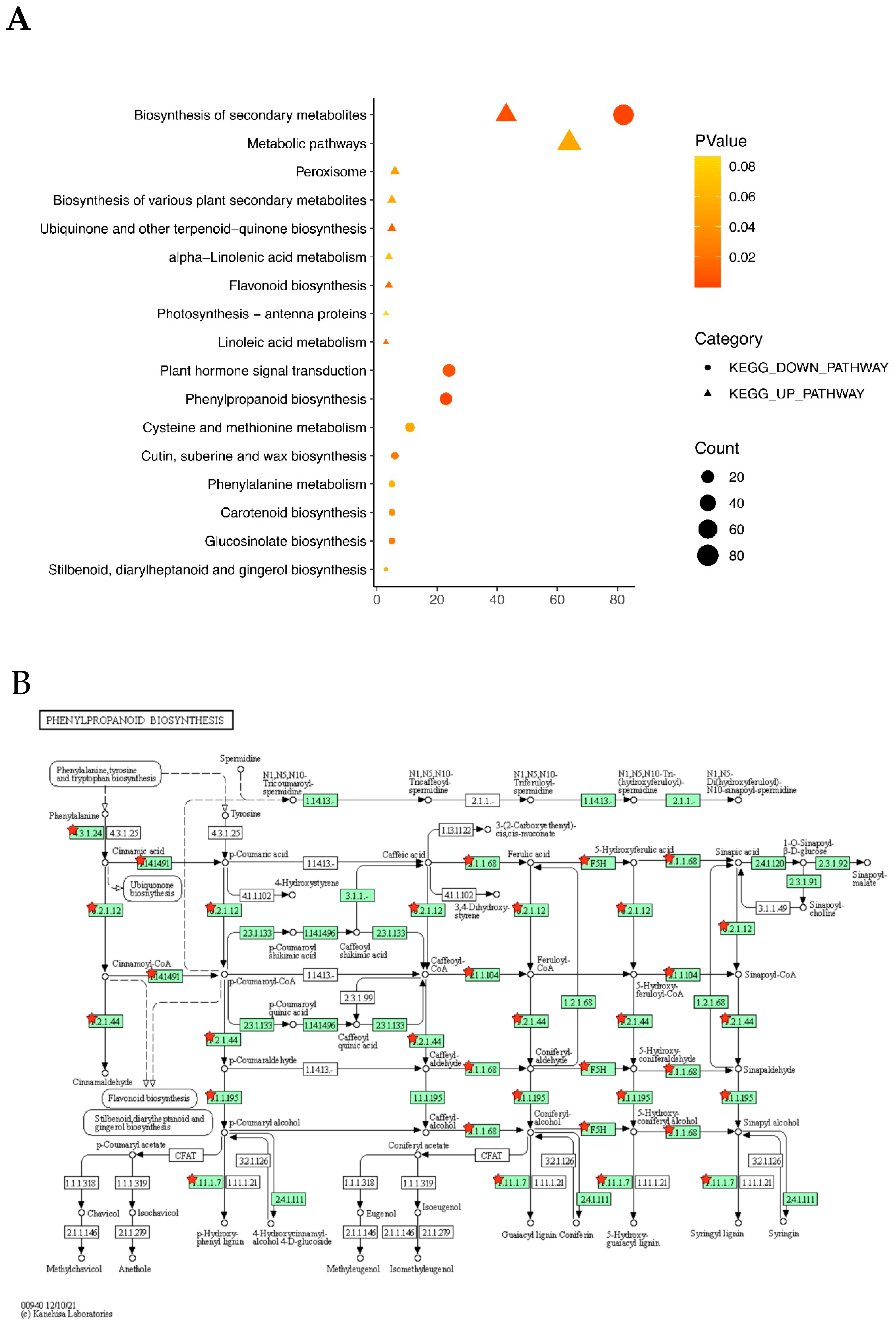 Plants 12 01650 g006 Plants 12 01650 g006