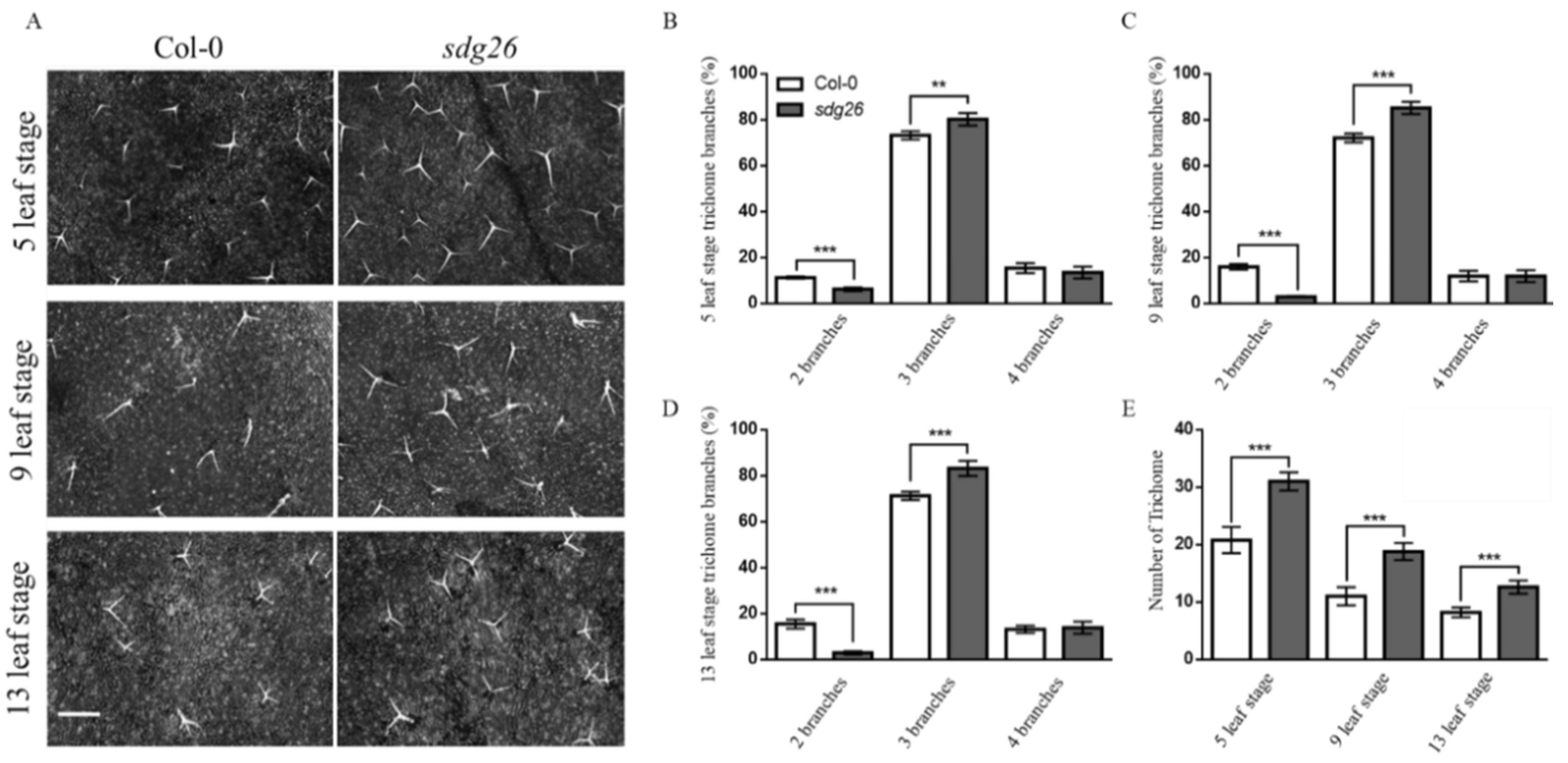 Plants 12 01651 g002
