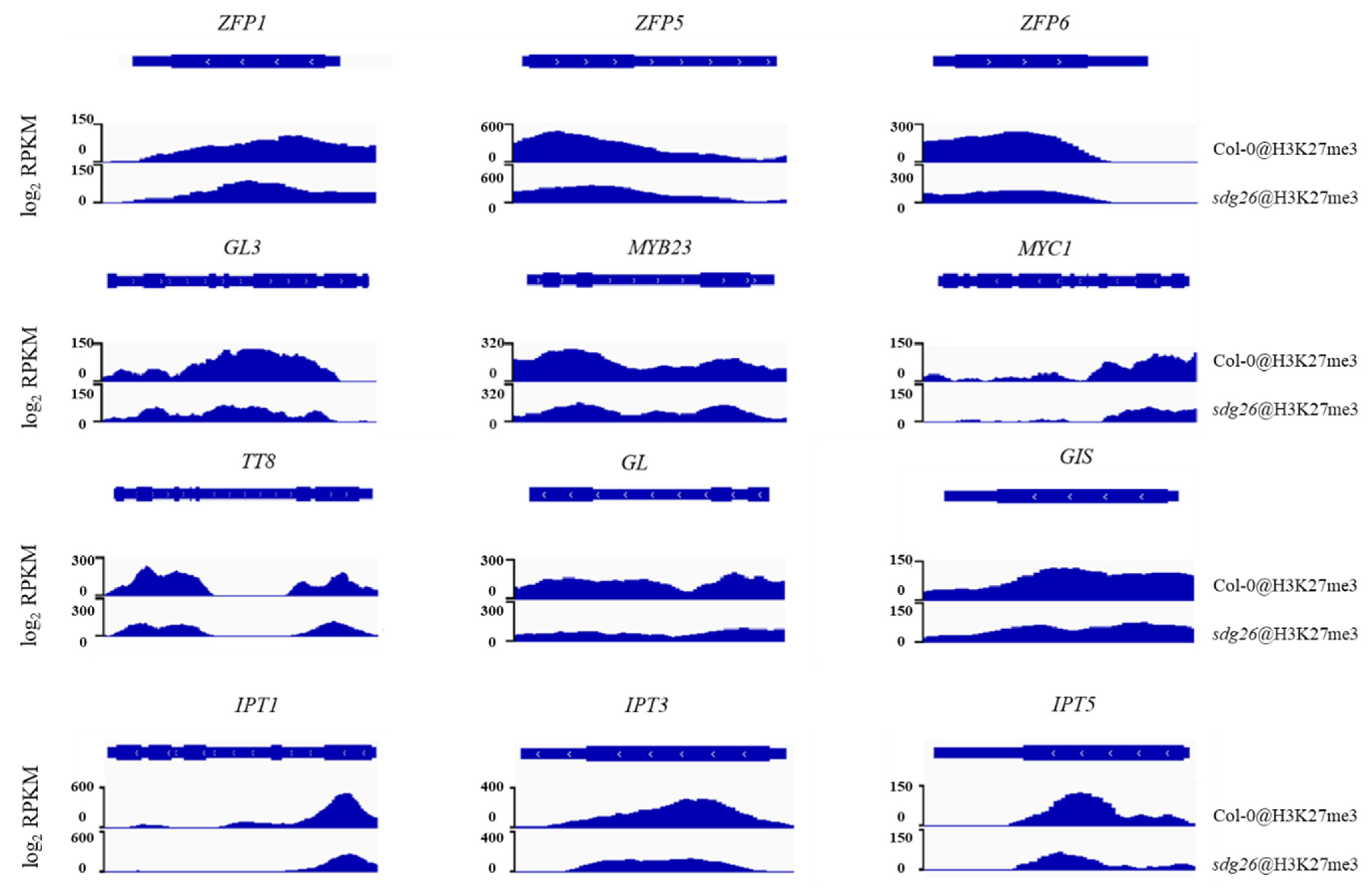 Plants 12 01651 g005