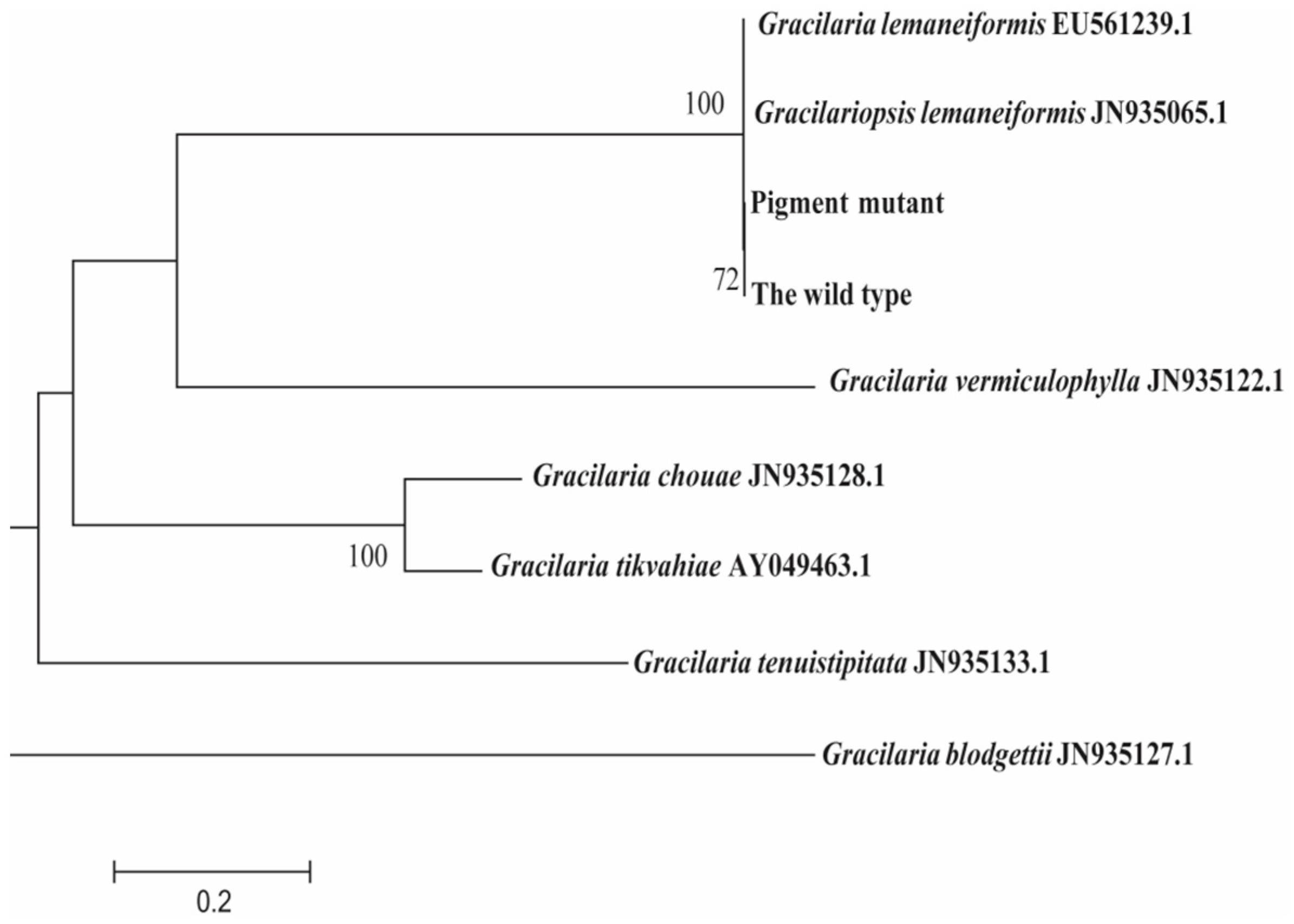 Plants 12 01670 g002 Plants 12 01670 g002