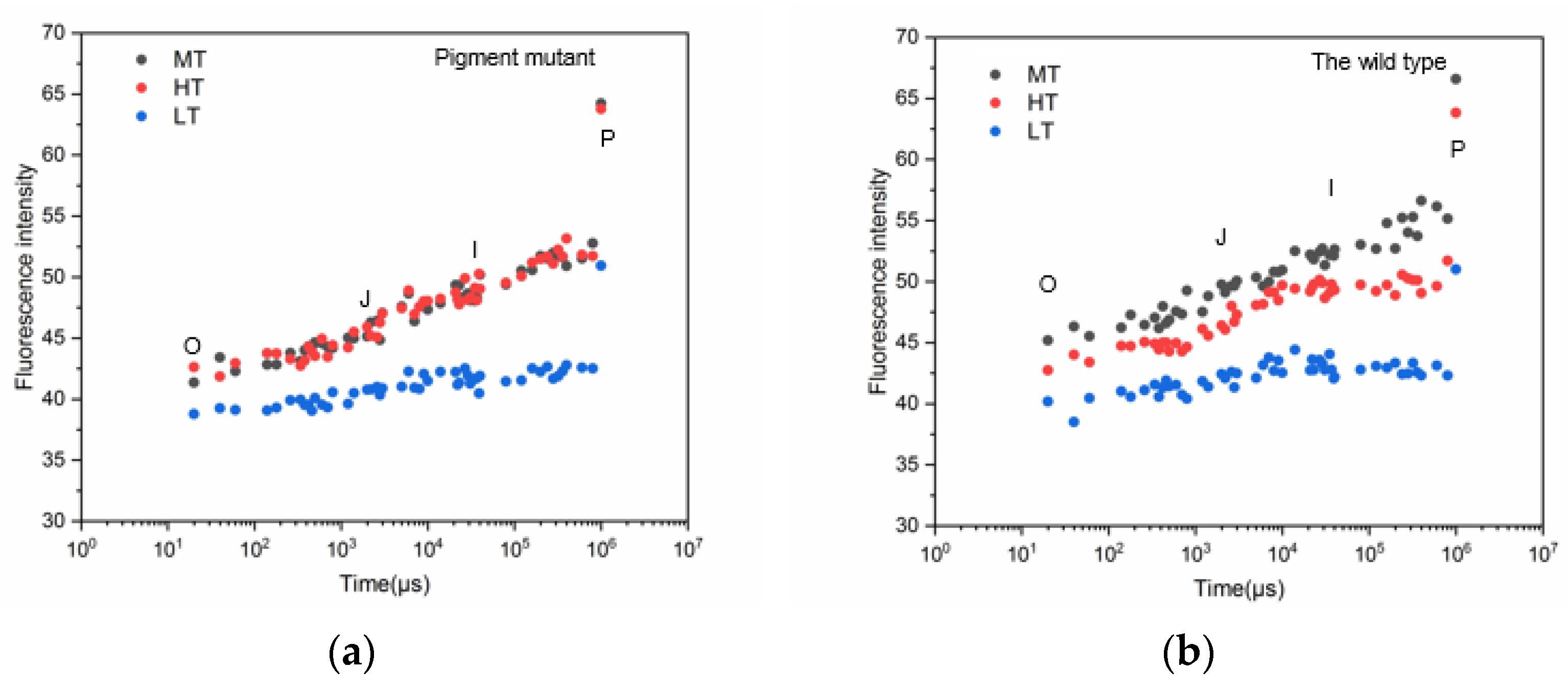 Plants 12 01670 g003 Plants 12 01670 g003