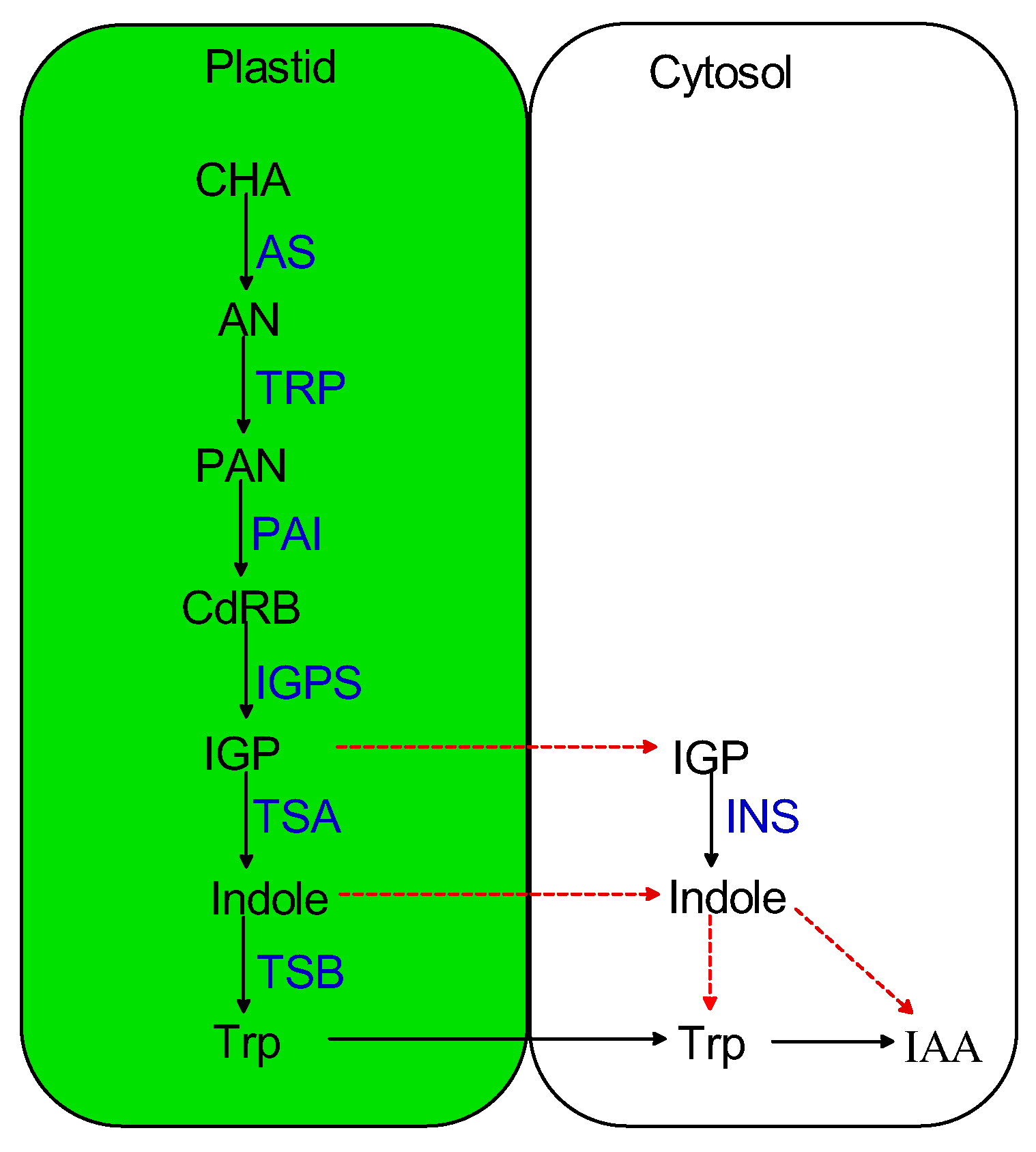 Plants 12 01687 g001 Plants 12 01687 g001