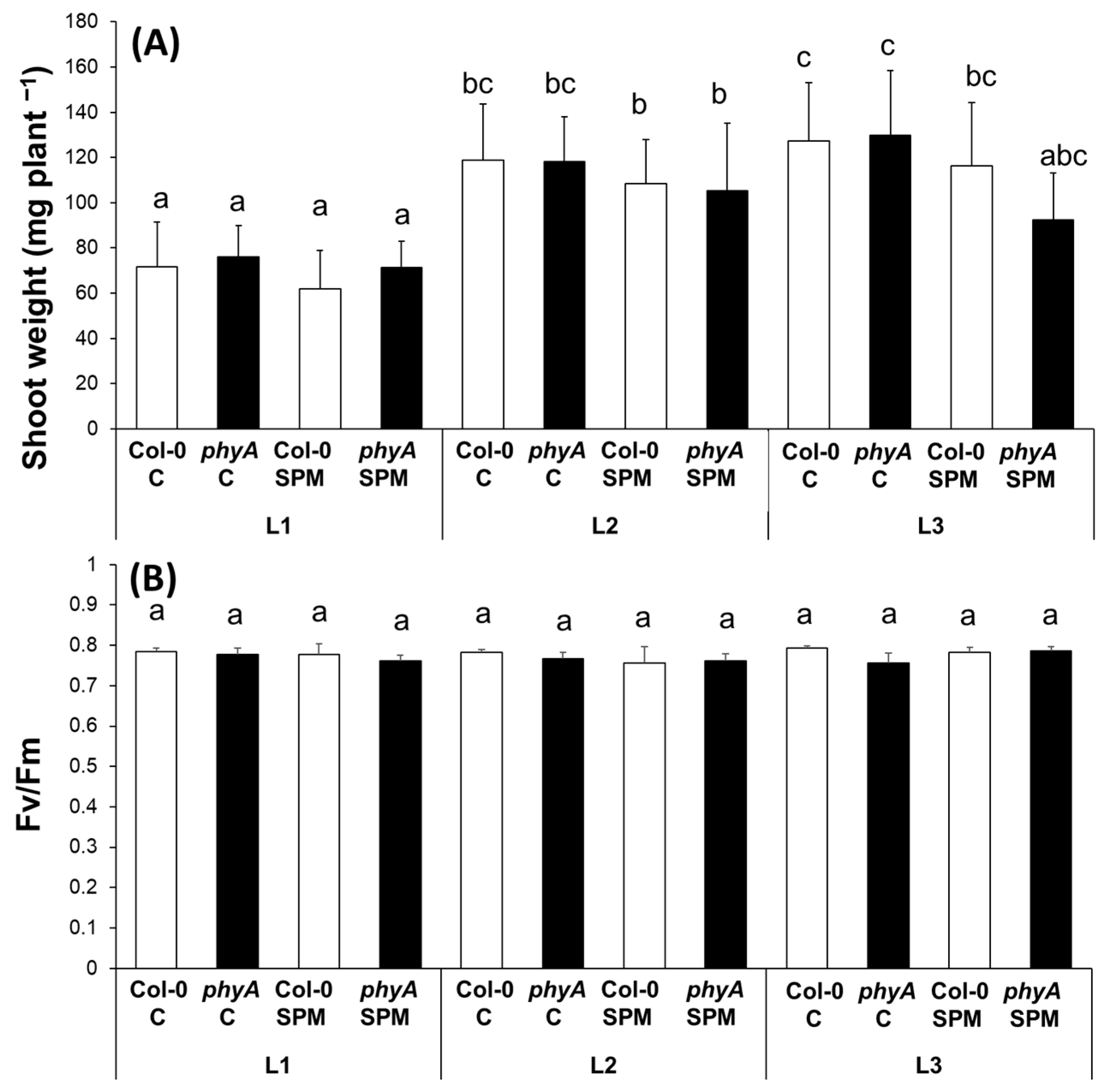Plants 12 01689 g001