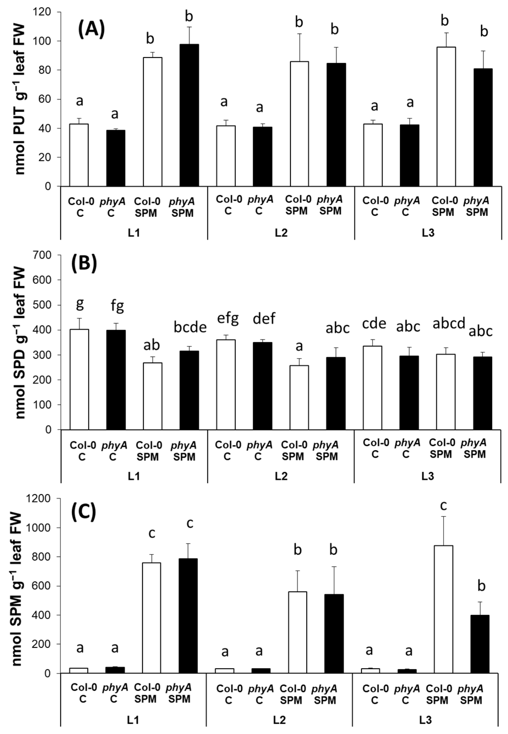 Plants 12 01689 g003