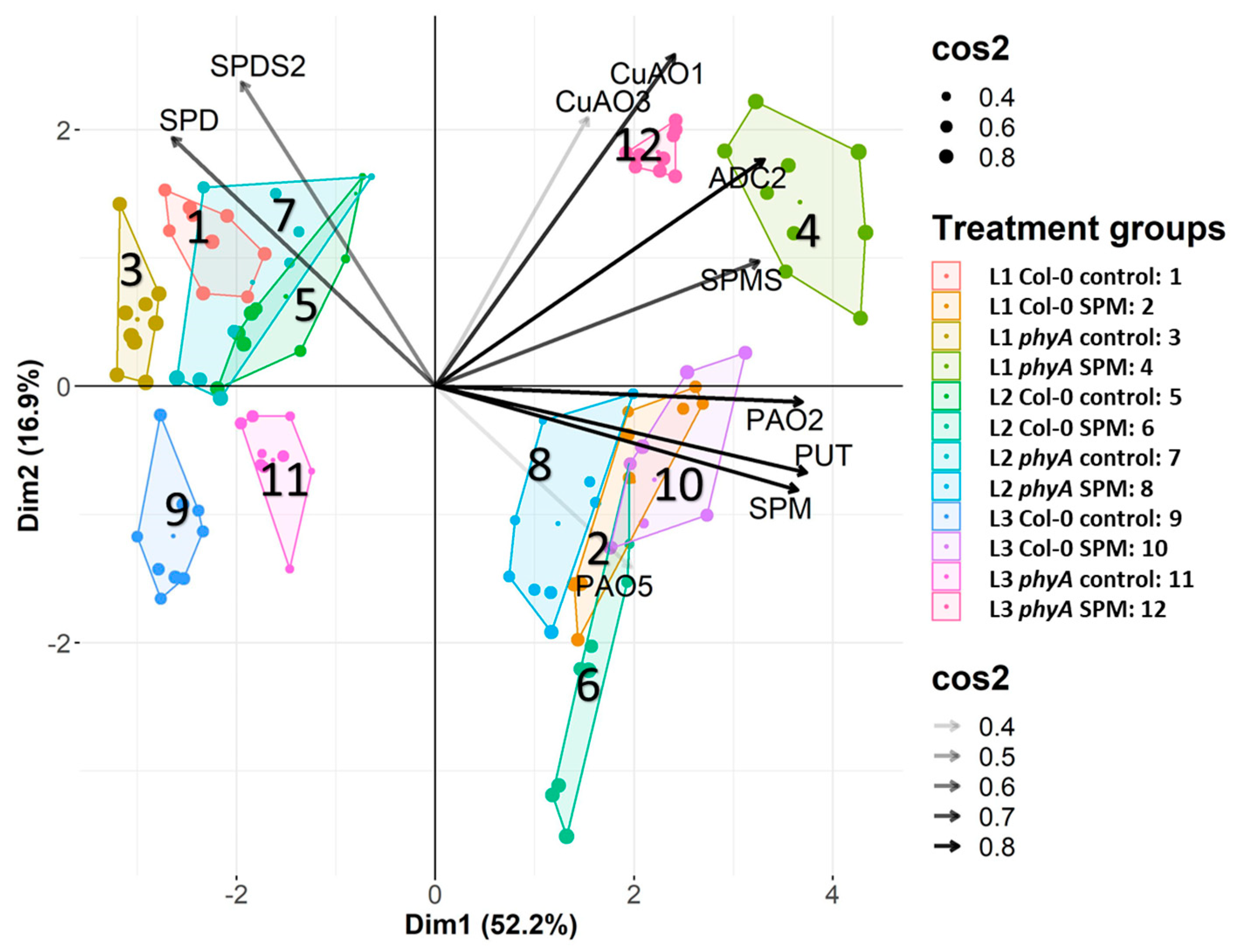 Plants 12 01689 g005