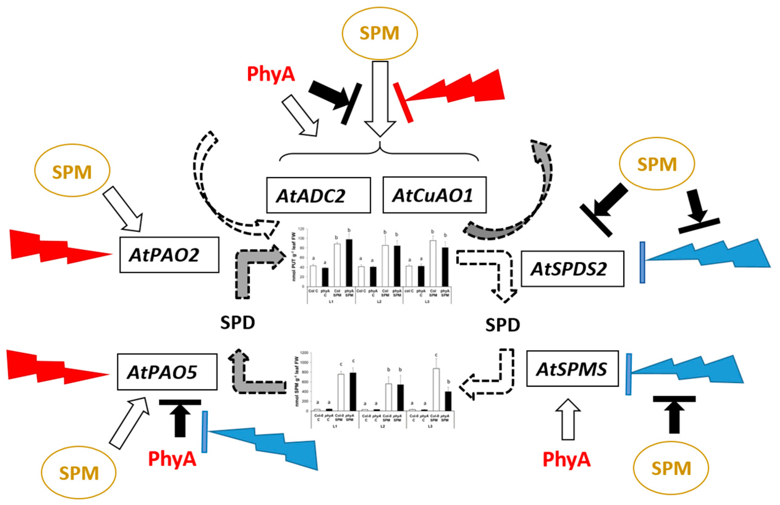 Plants 12 01689 g006