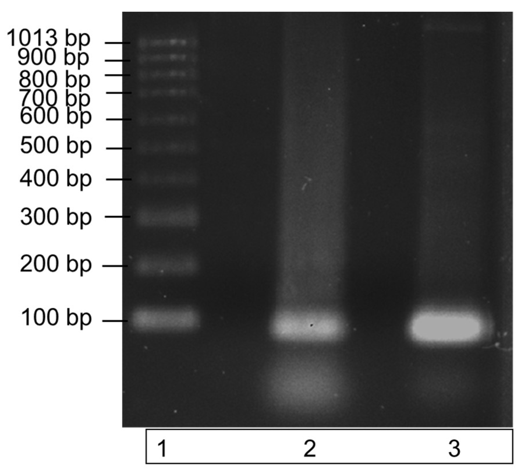 Plants 12 01690 g002