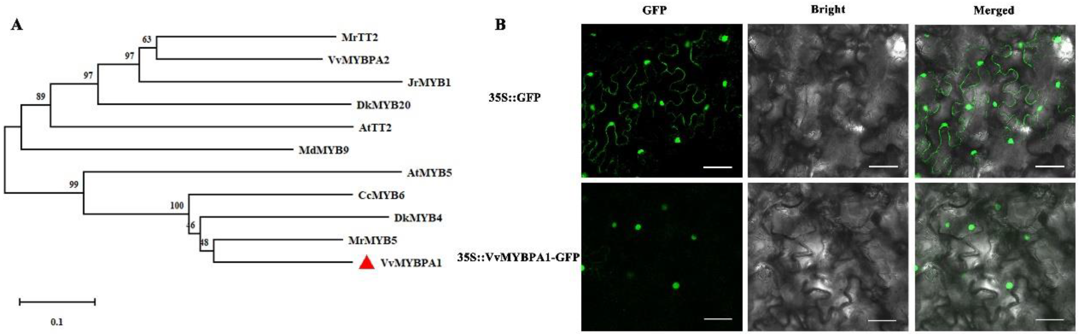 Plants 12 01691 g002 Plants 12 01691 g002