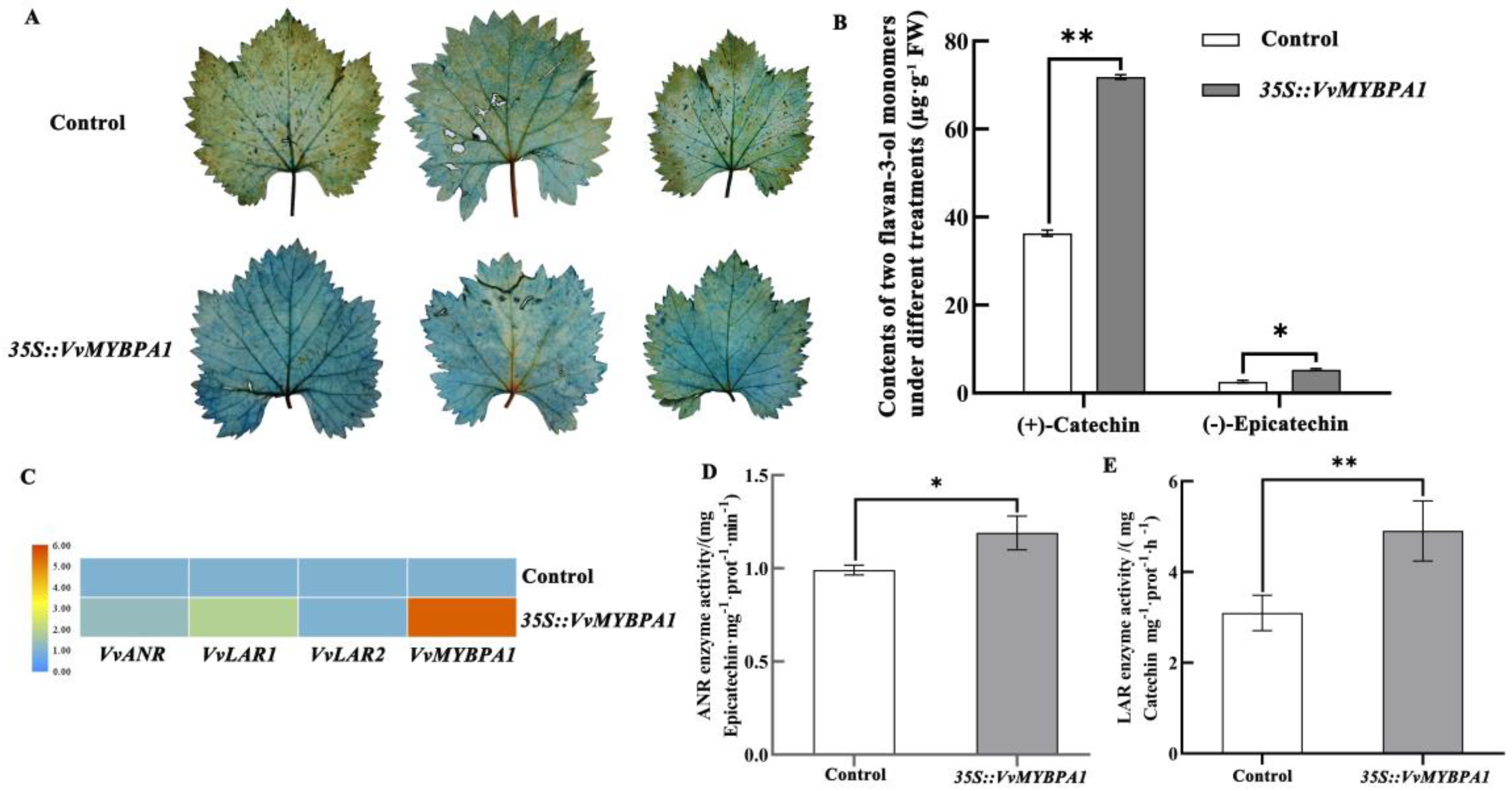 Plants 12 01691 g003 Plants 12 01691 g003