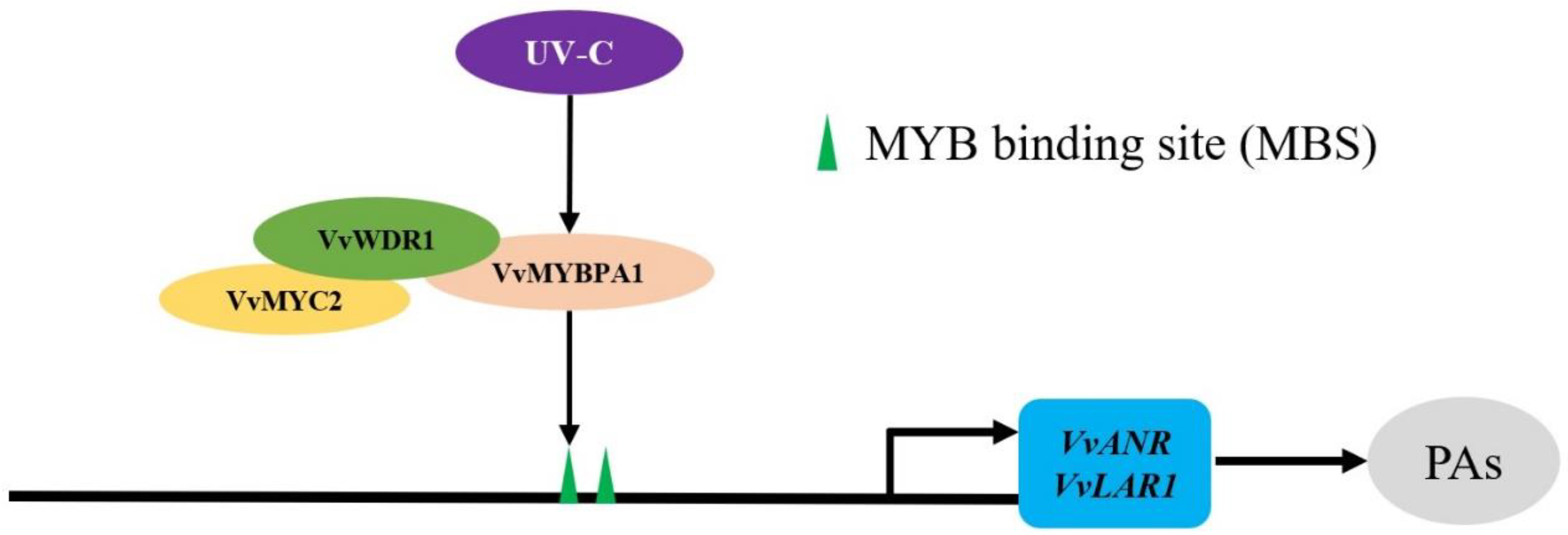 Plants 12 01691 g005 Plants 12 01691 g005