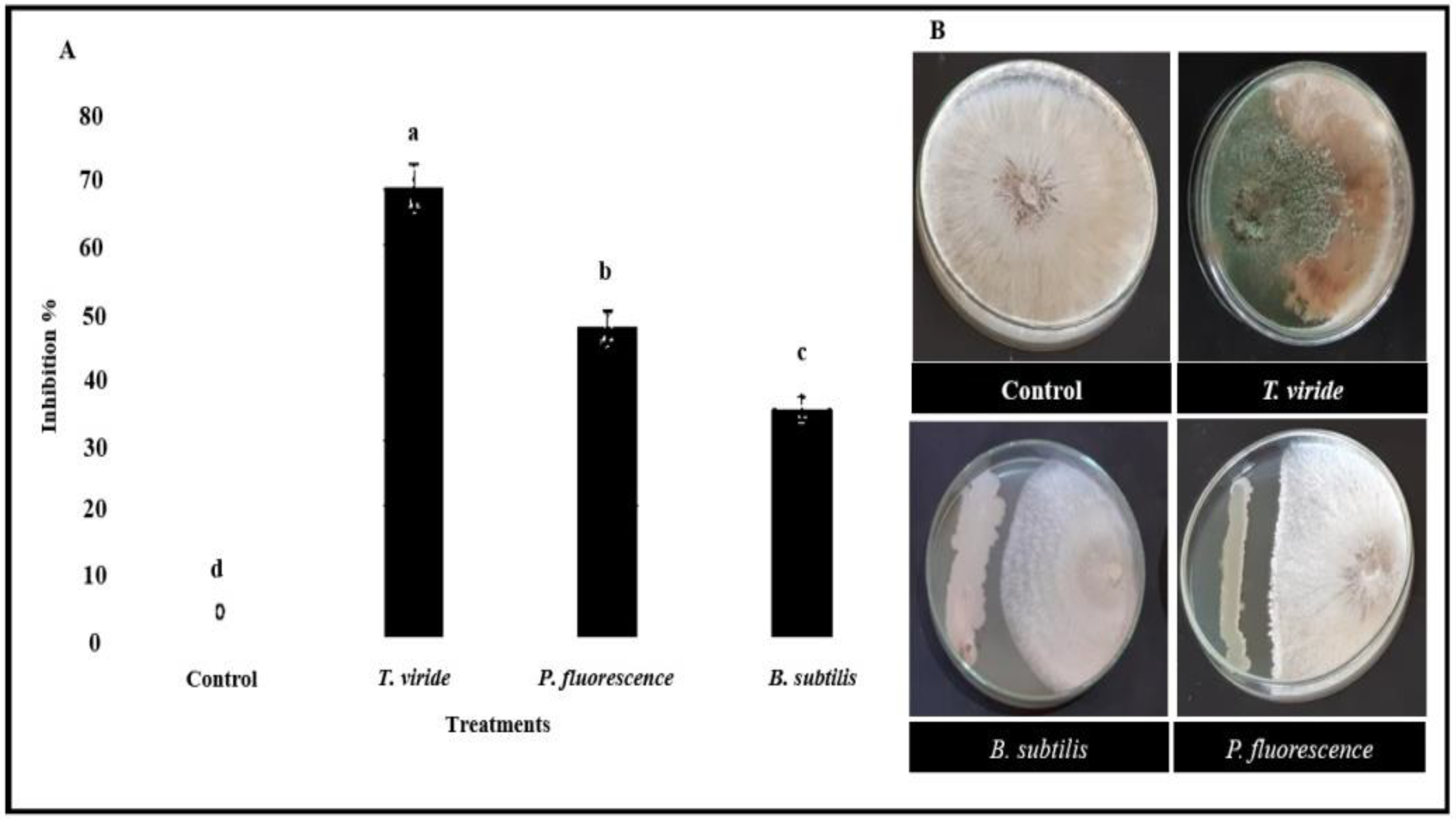Plants 12 01694 g003