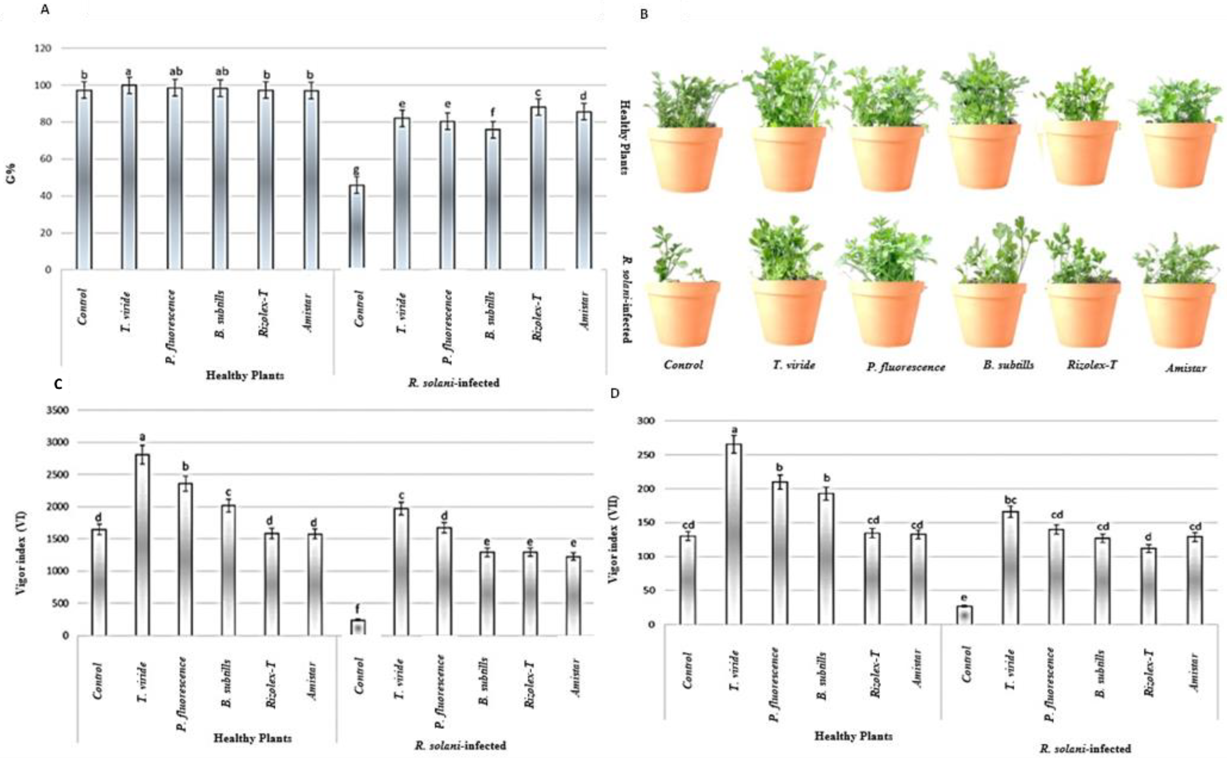 Plants 12 01694 g004