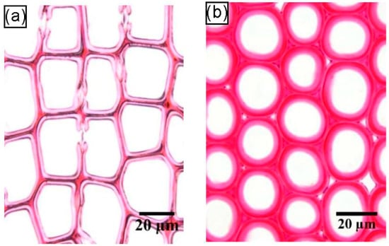 Plants 12 01705 g007