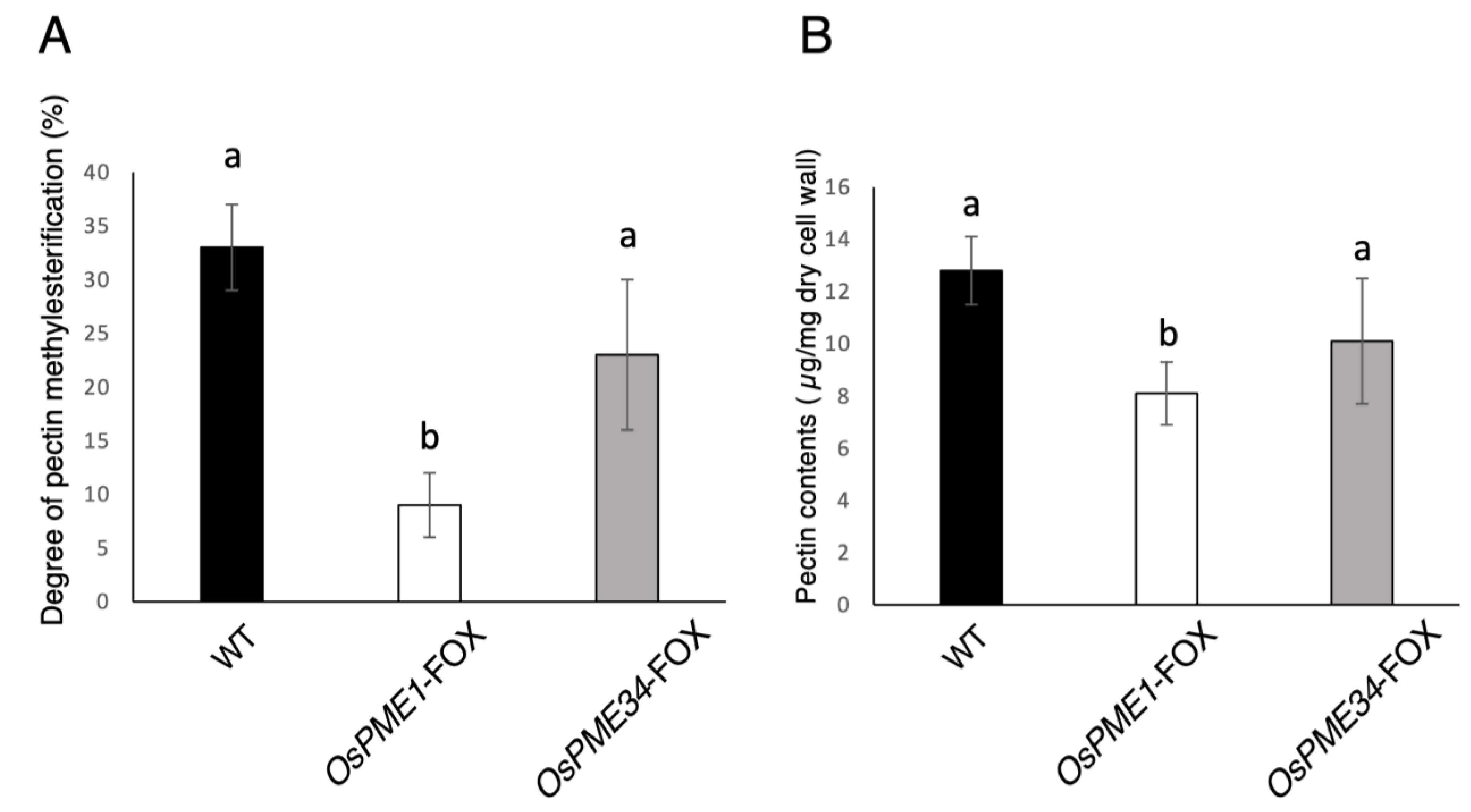 Plants 12 01717 g002