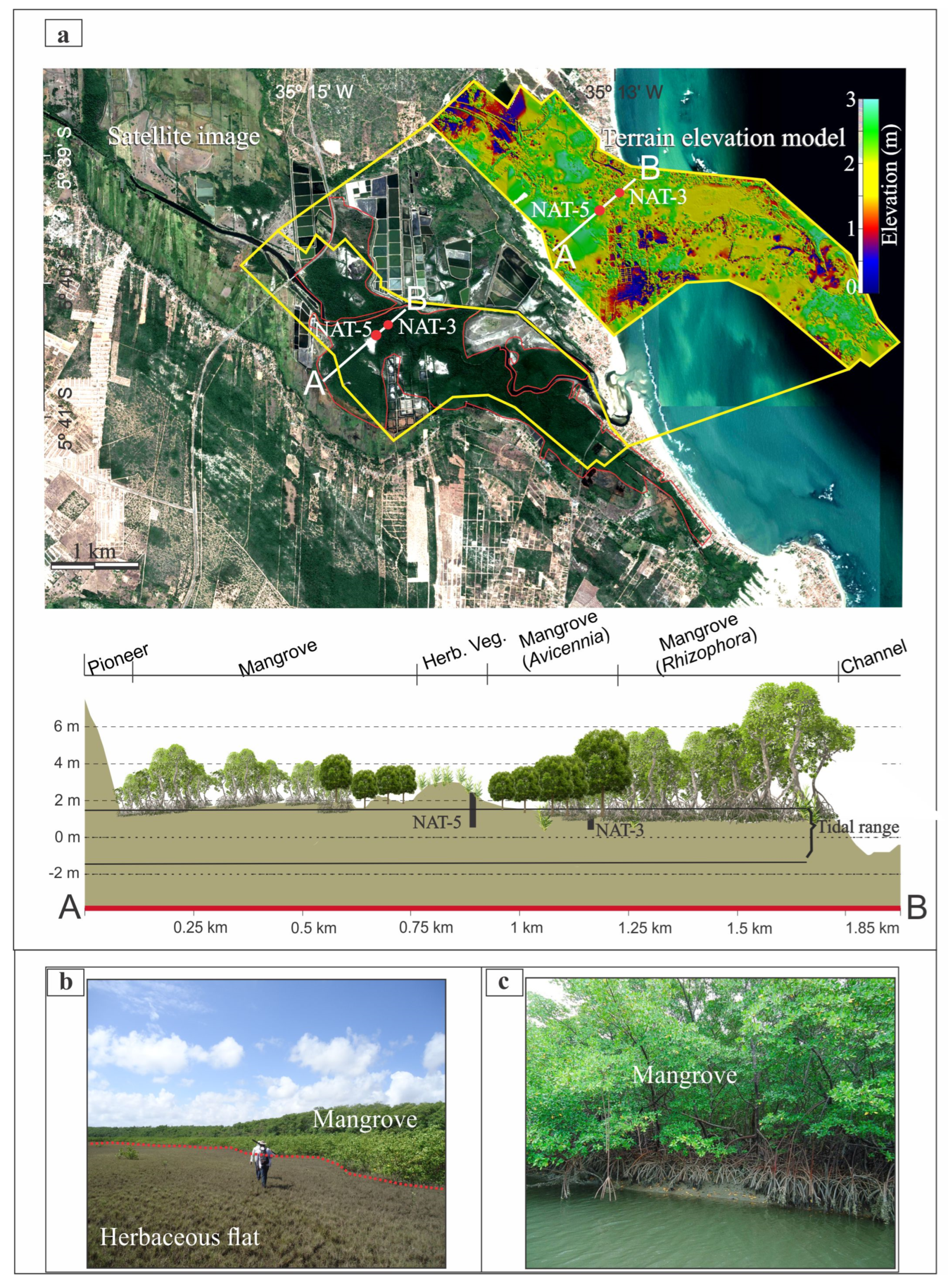 Plants 12 01721 g002 Plants 12 01721 g002