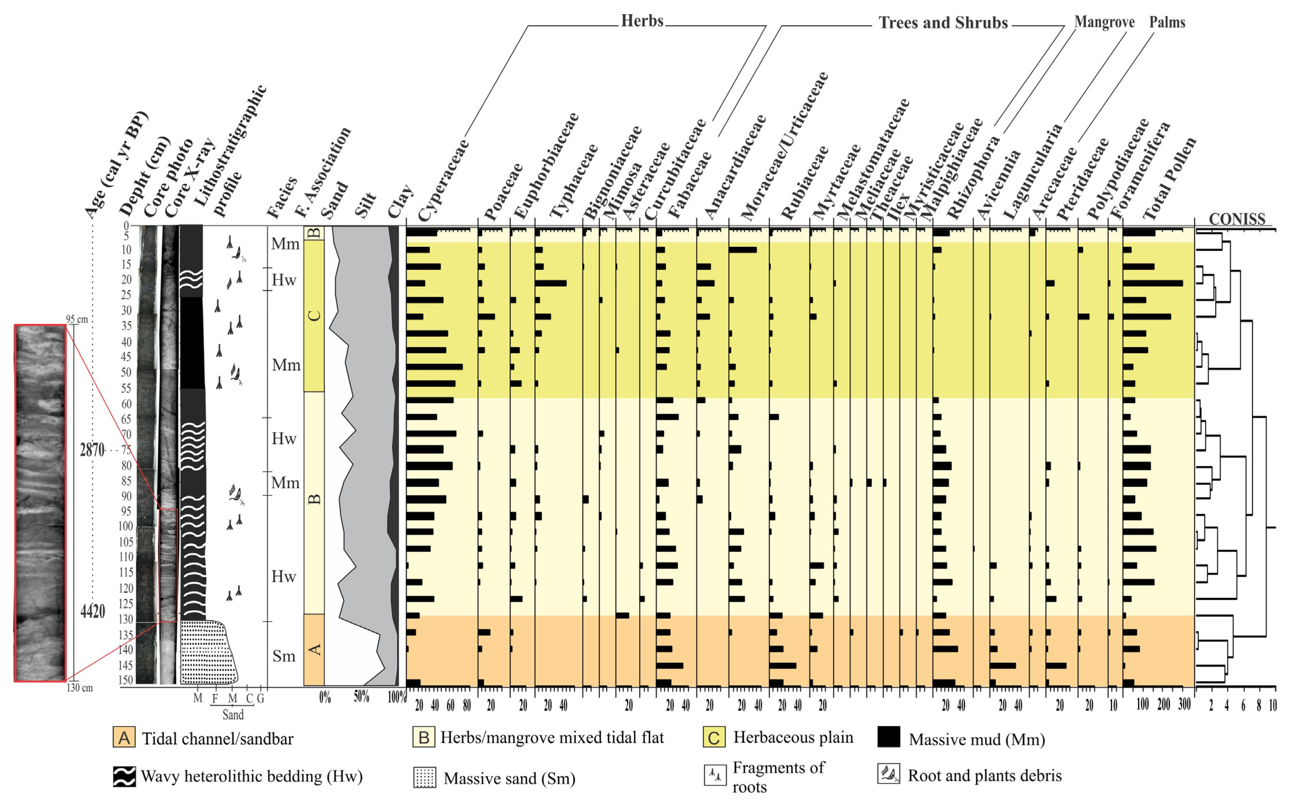Plants 12 01721 g005 Plants 12 01721 g005