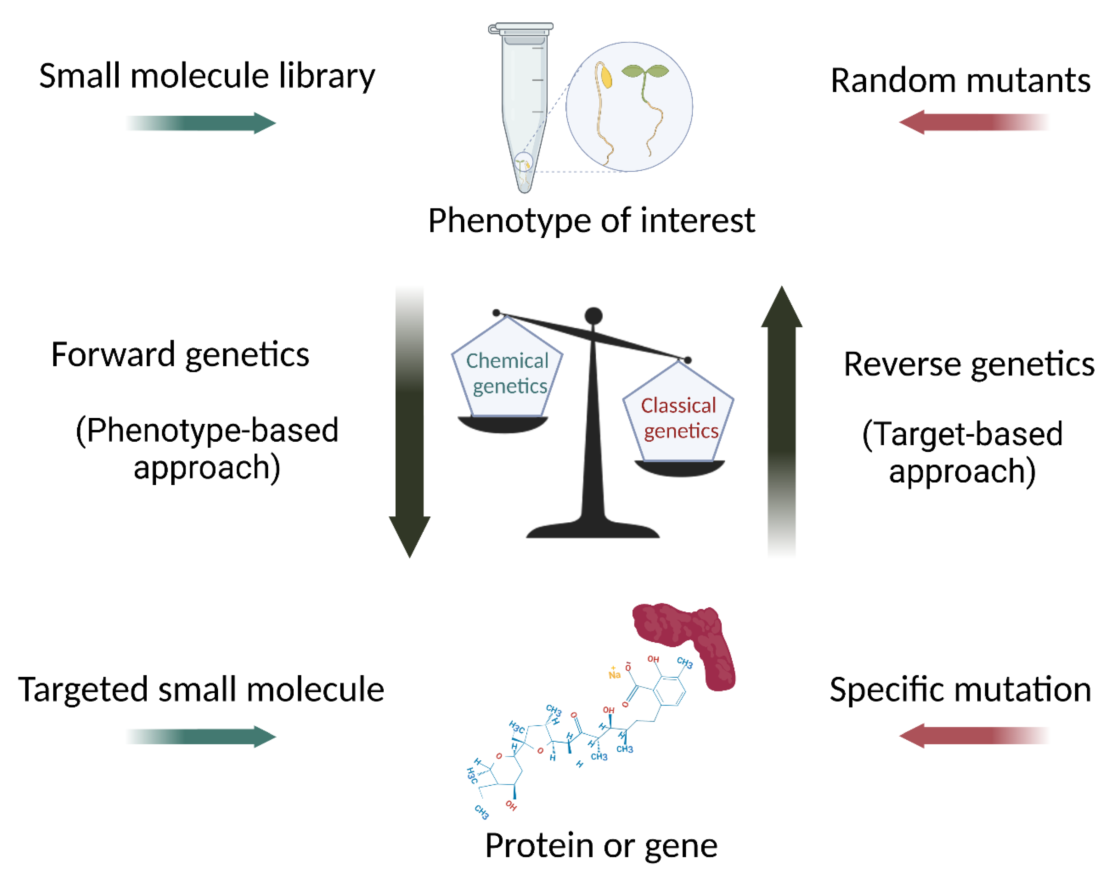 Plants 12 01729 g001