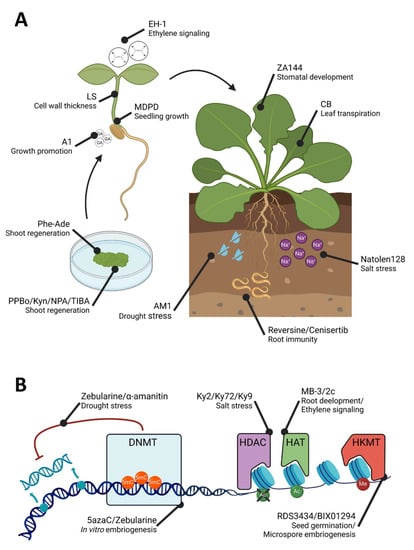 Plants 12 01729 g002