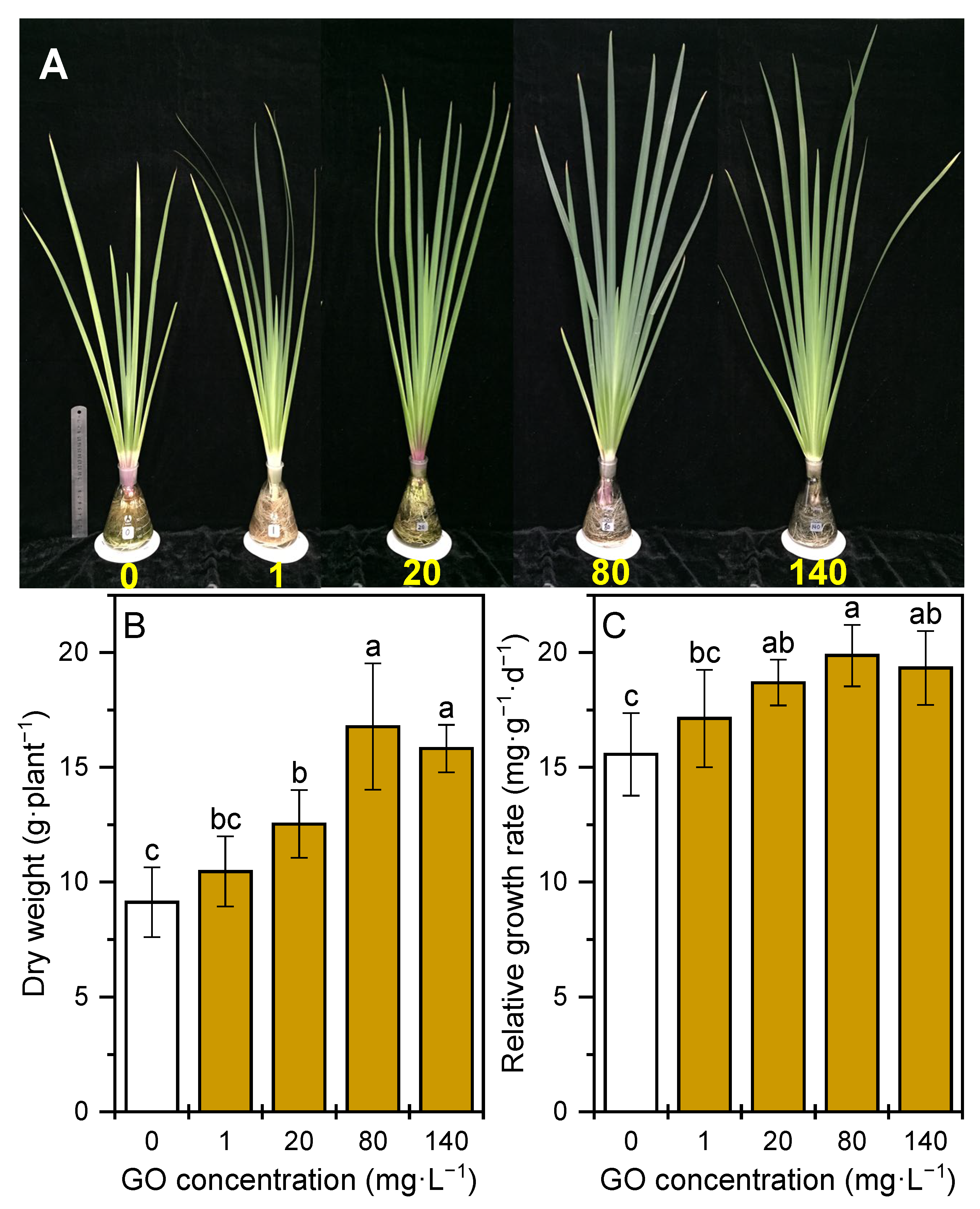 Plants 12 01738 g001