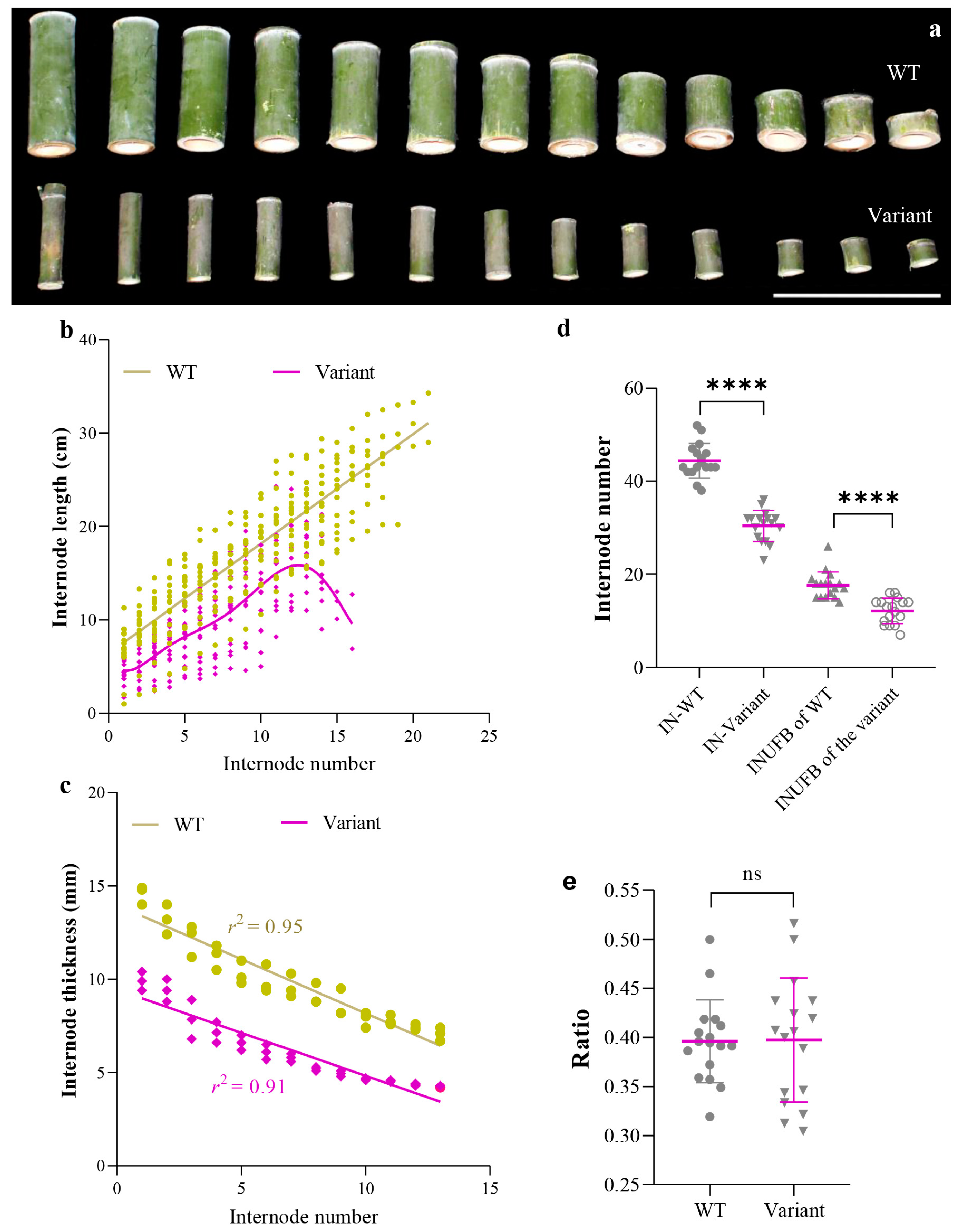 Plants 12 01759 g002 Plants 12 01759 g002