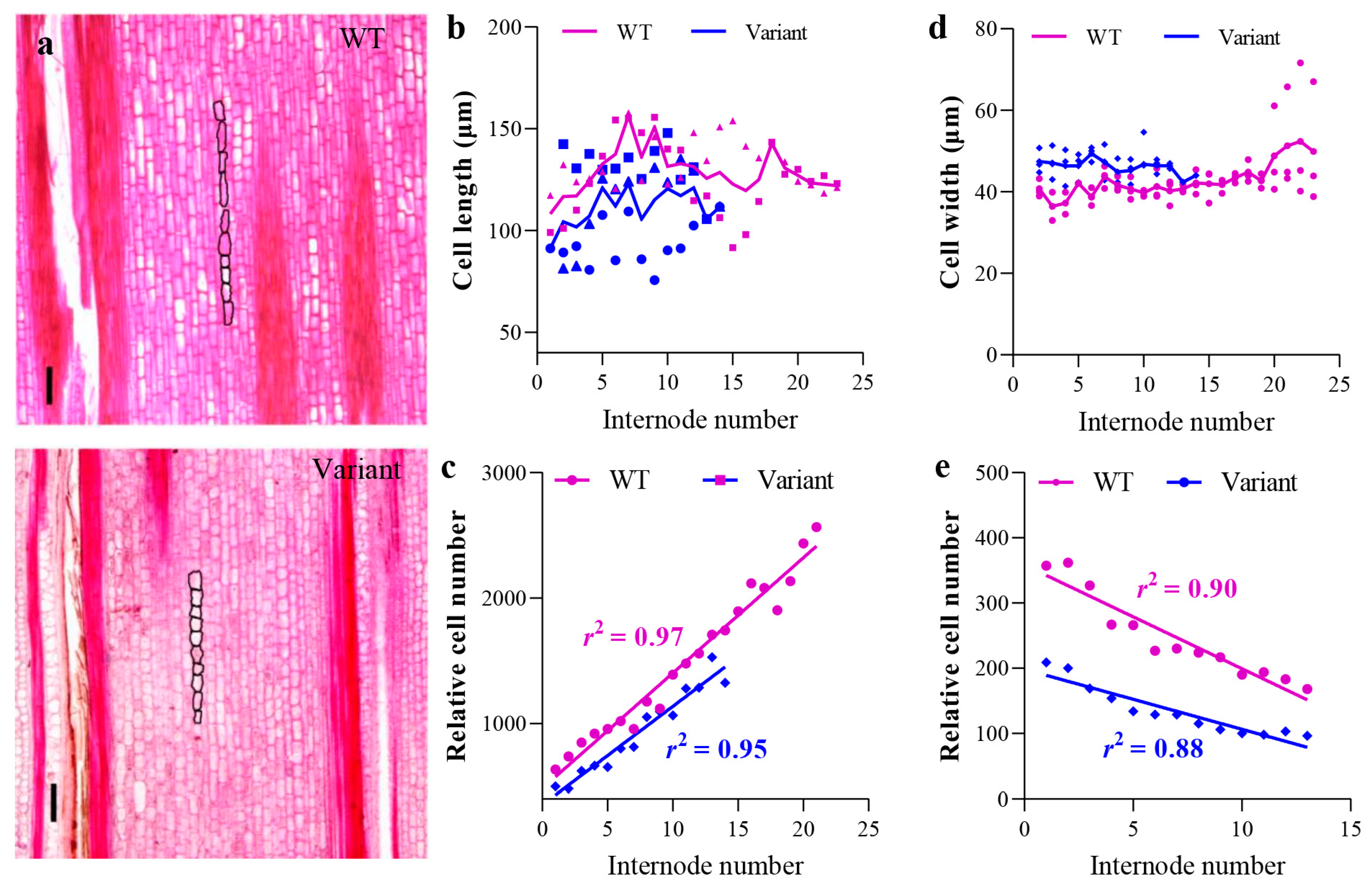 Plants 12 01759 g003 Plants 12 01759 g003