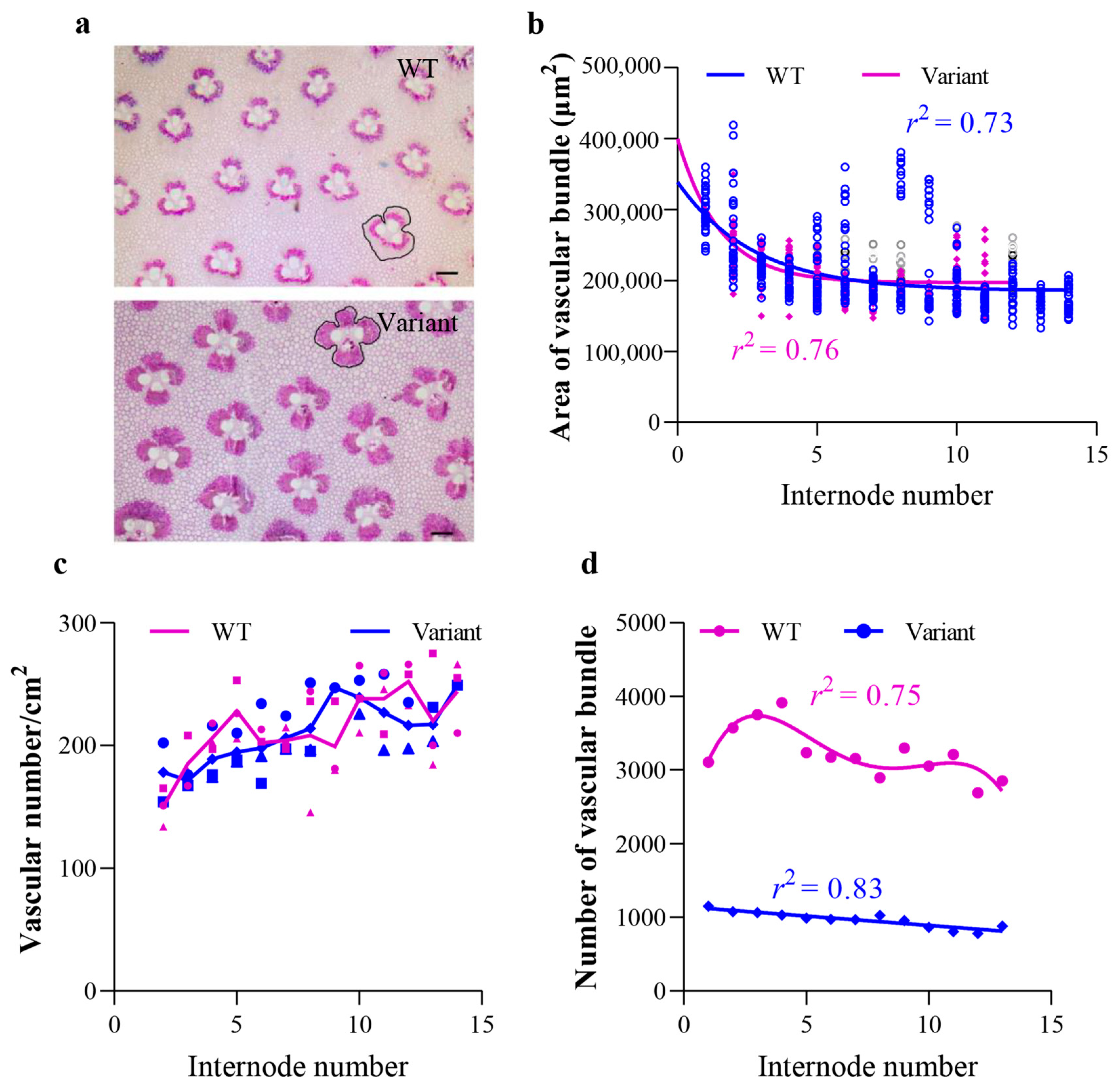 Plants 12 01759 g004 Plants 12 01759 g004