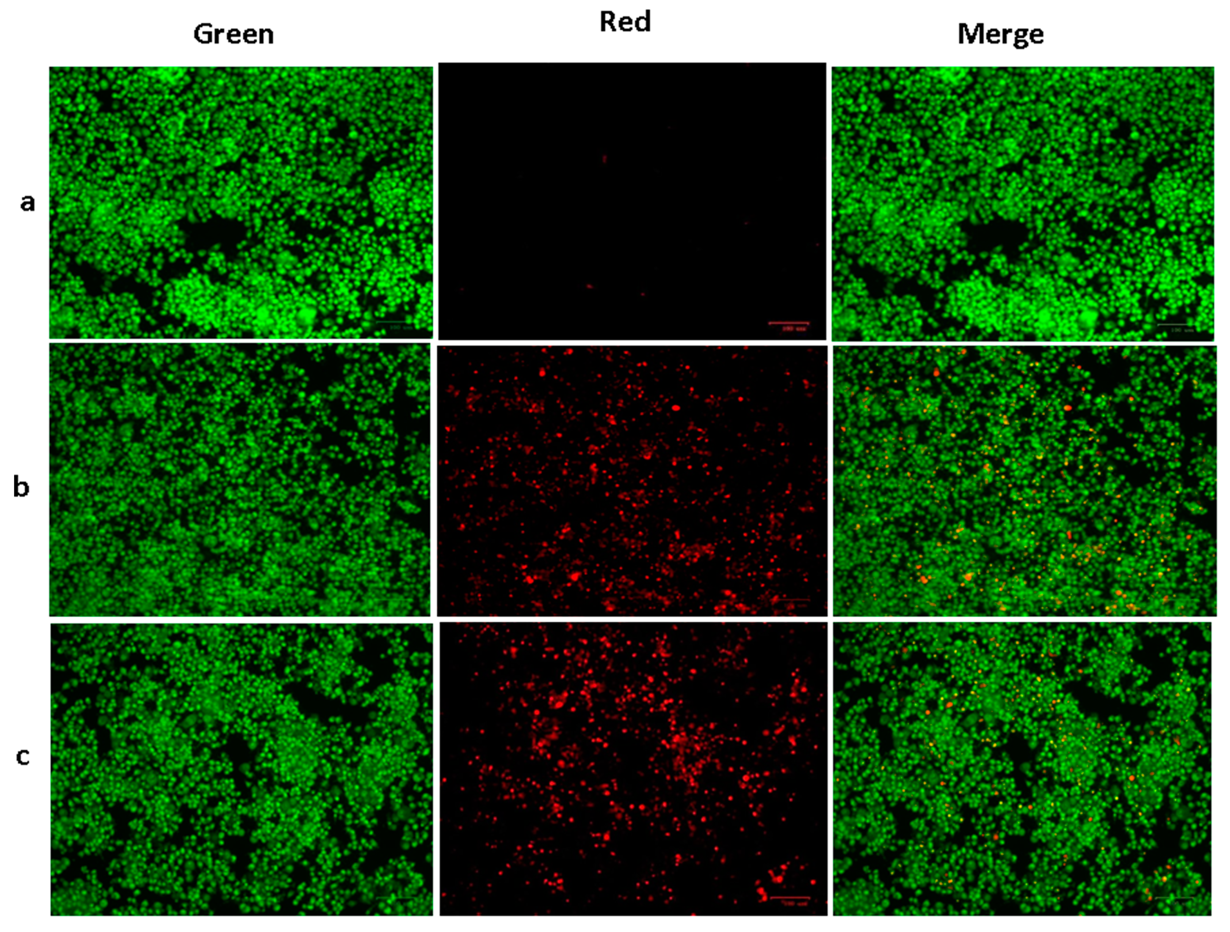 Plants 12 01760 g006 Plants 12 01760 g006