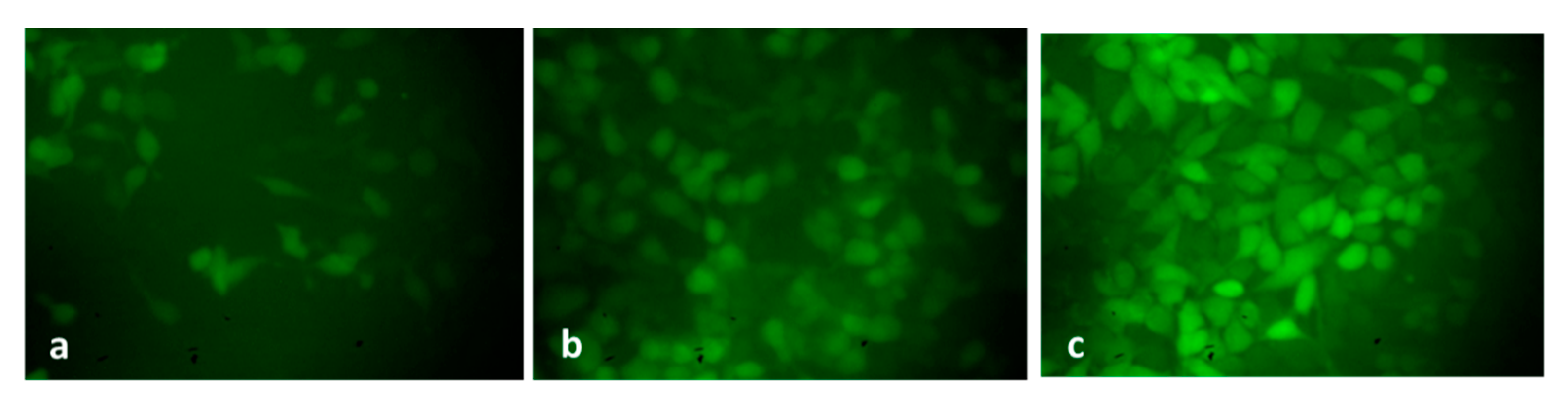 Plants 12 01760 g009 Plants 12 01760 g009