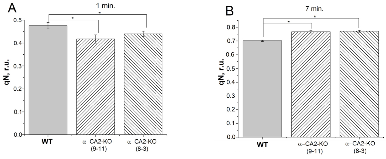 Plants 12 01763 g004