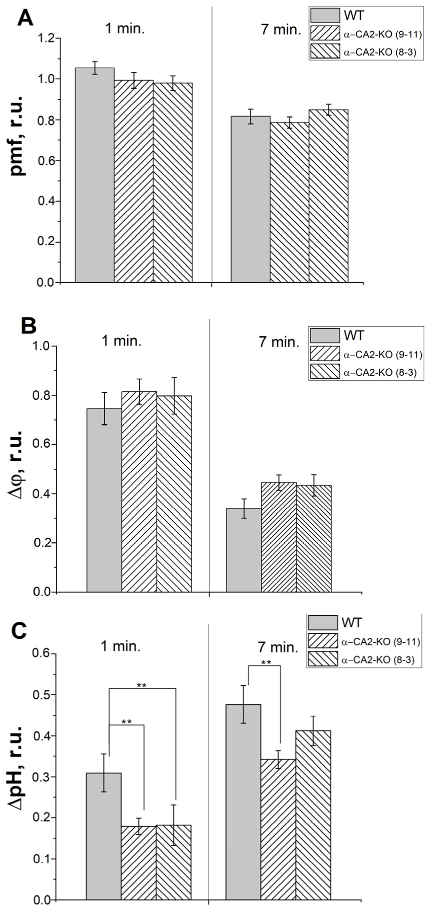 Plants 12 01763 g007