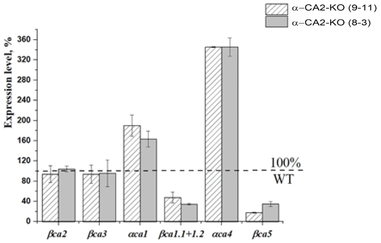 Plants 12 01763 g008