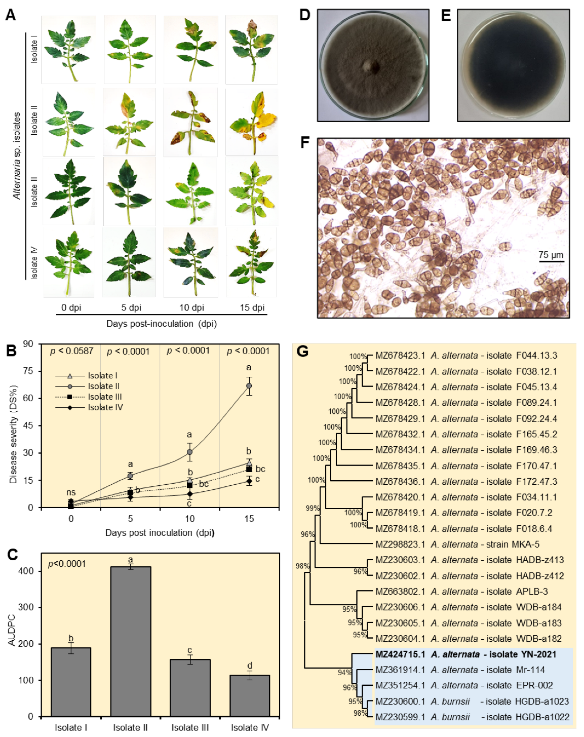 Plants 12 01775 g001