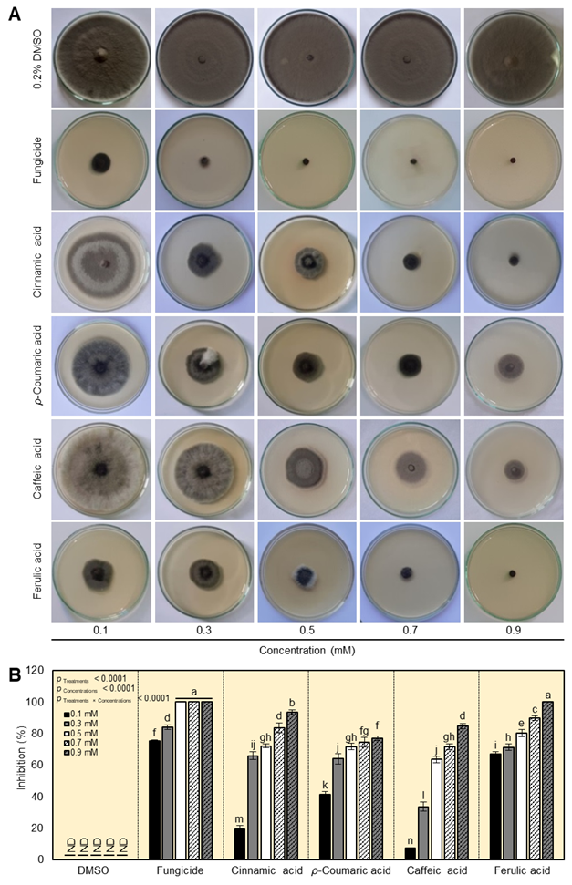 Plants 12 01775 g002