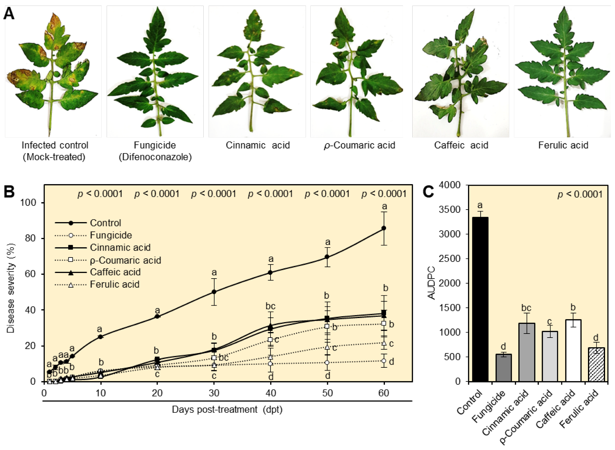 Plants 12 01775 g004