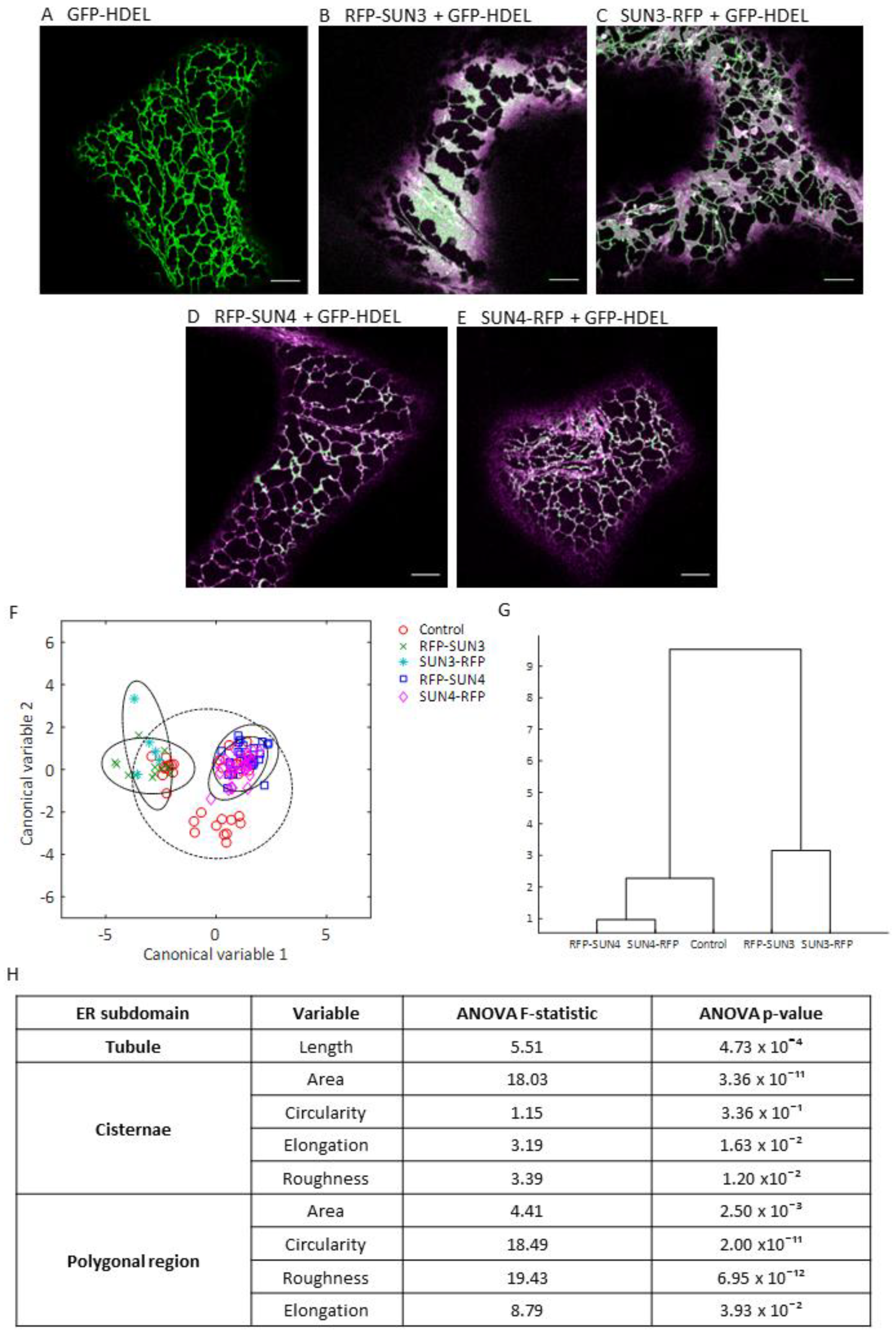Plants 12 01787 g002